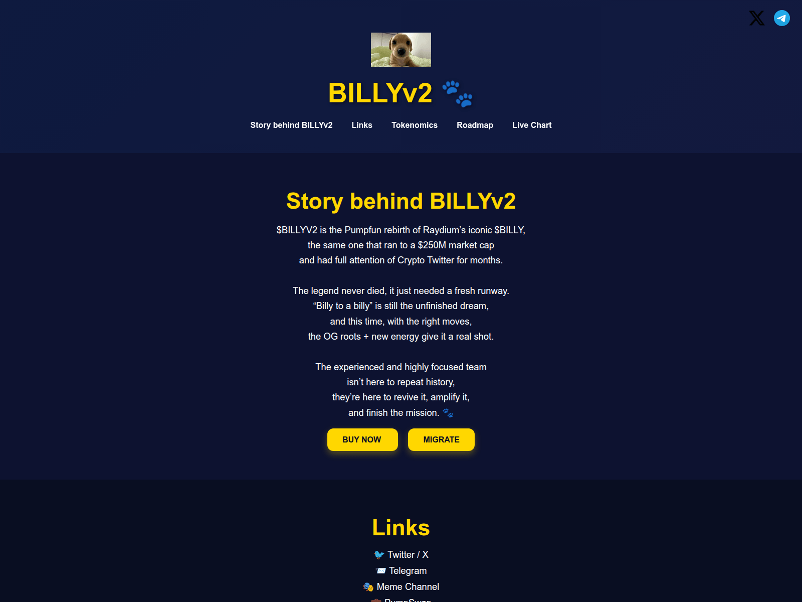 Forensic screenshot of billysol-lol.live