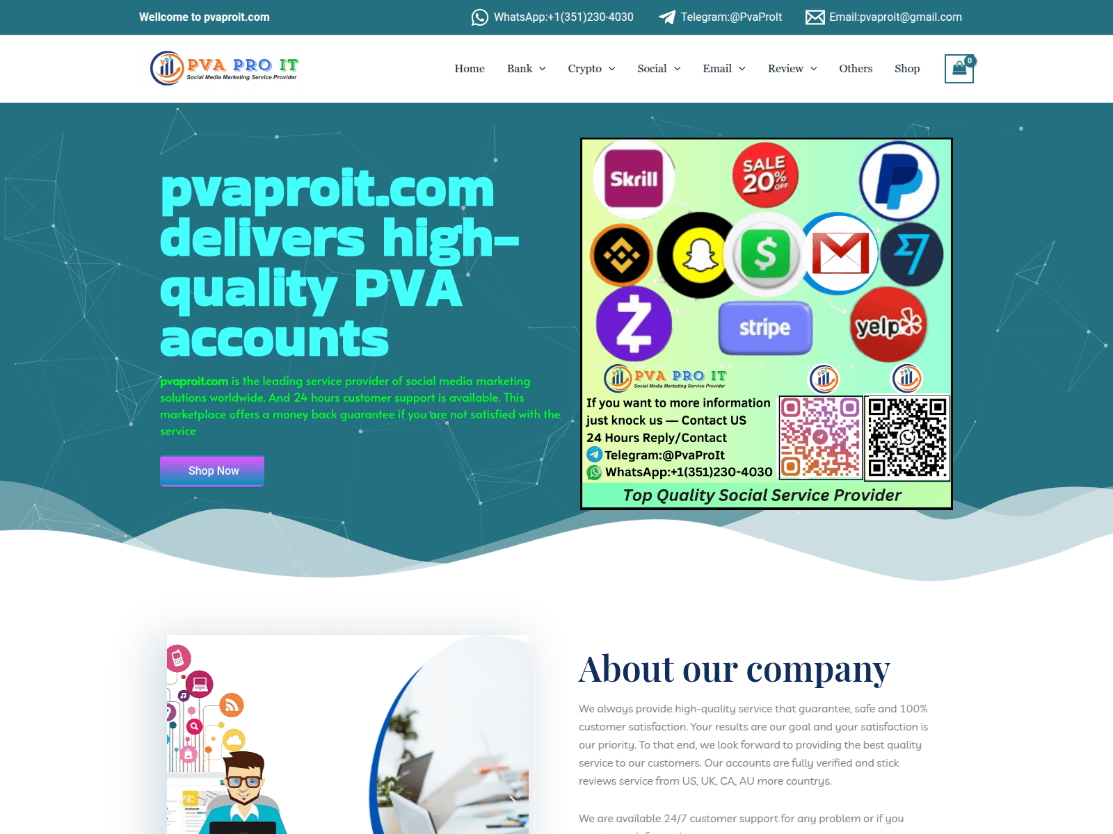 Screenshot of pvaproit.com