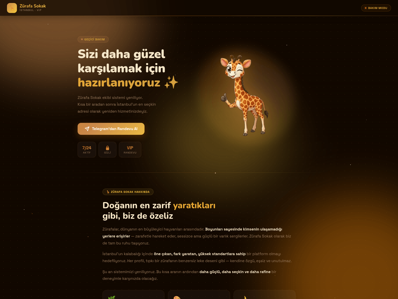 的截图 zurafaistanbul.icu