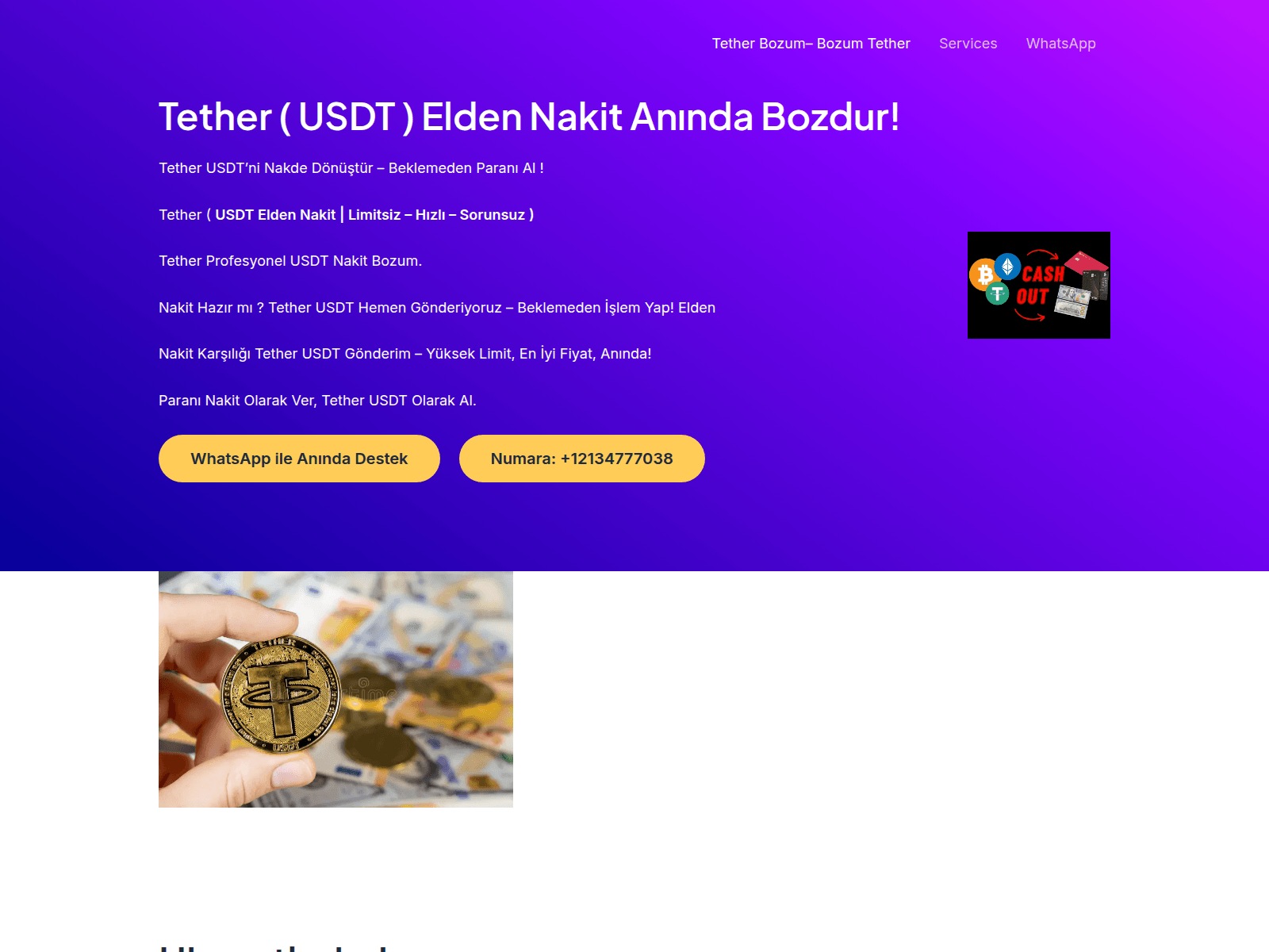 Screenshot von tetherbozum.com