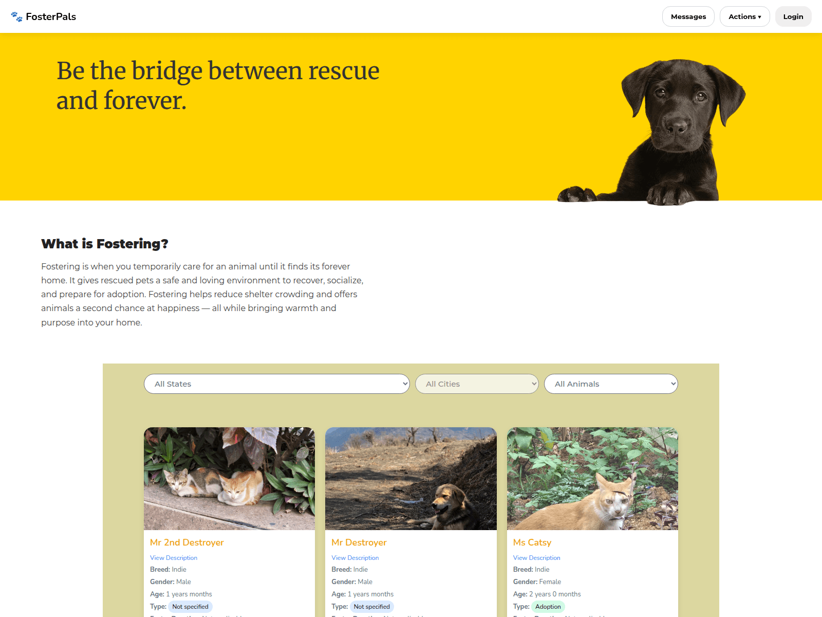 Screenshot von fosterpals.org
