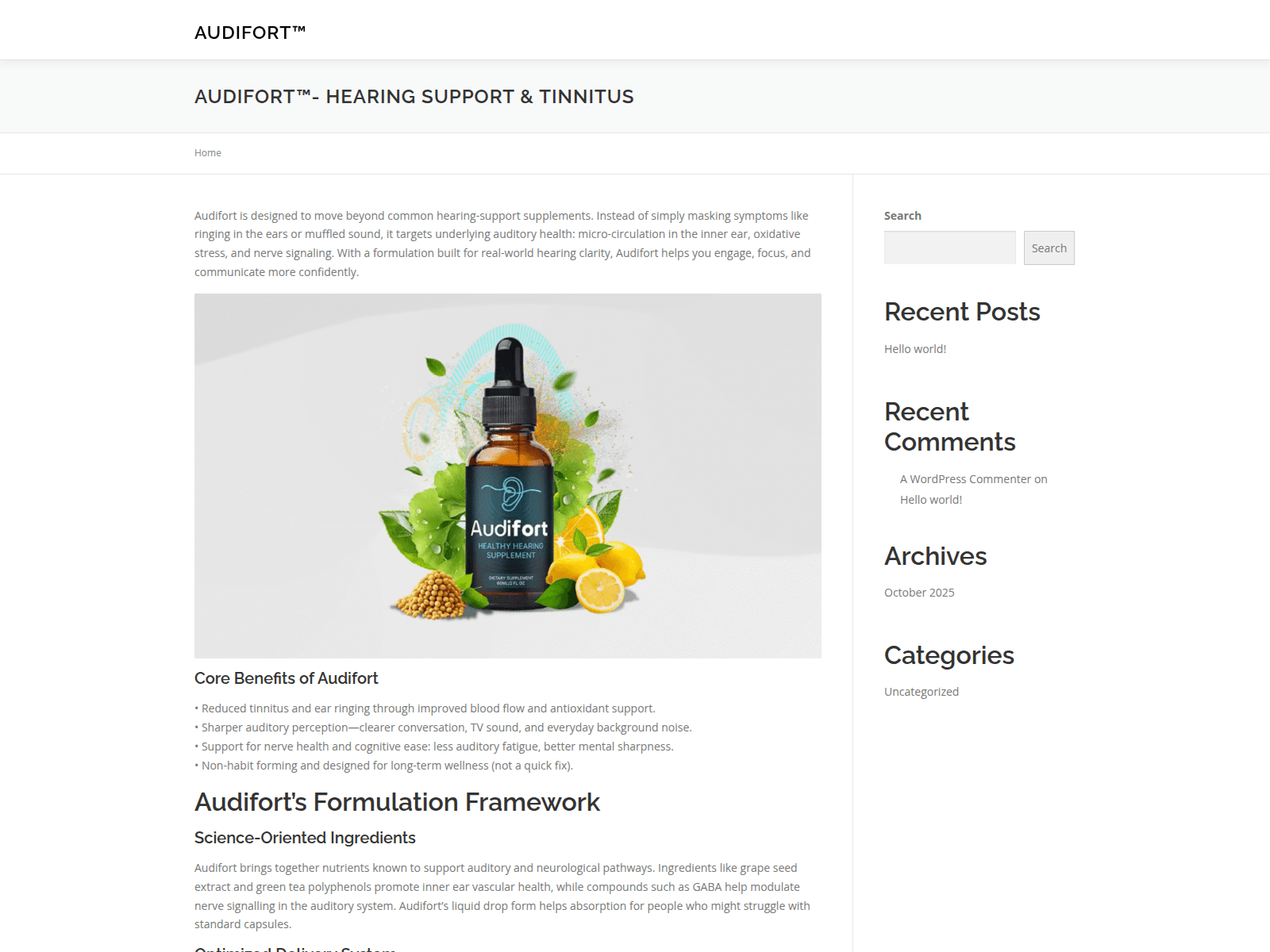 Screenshot von audifort-up.com