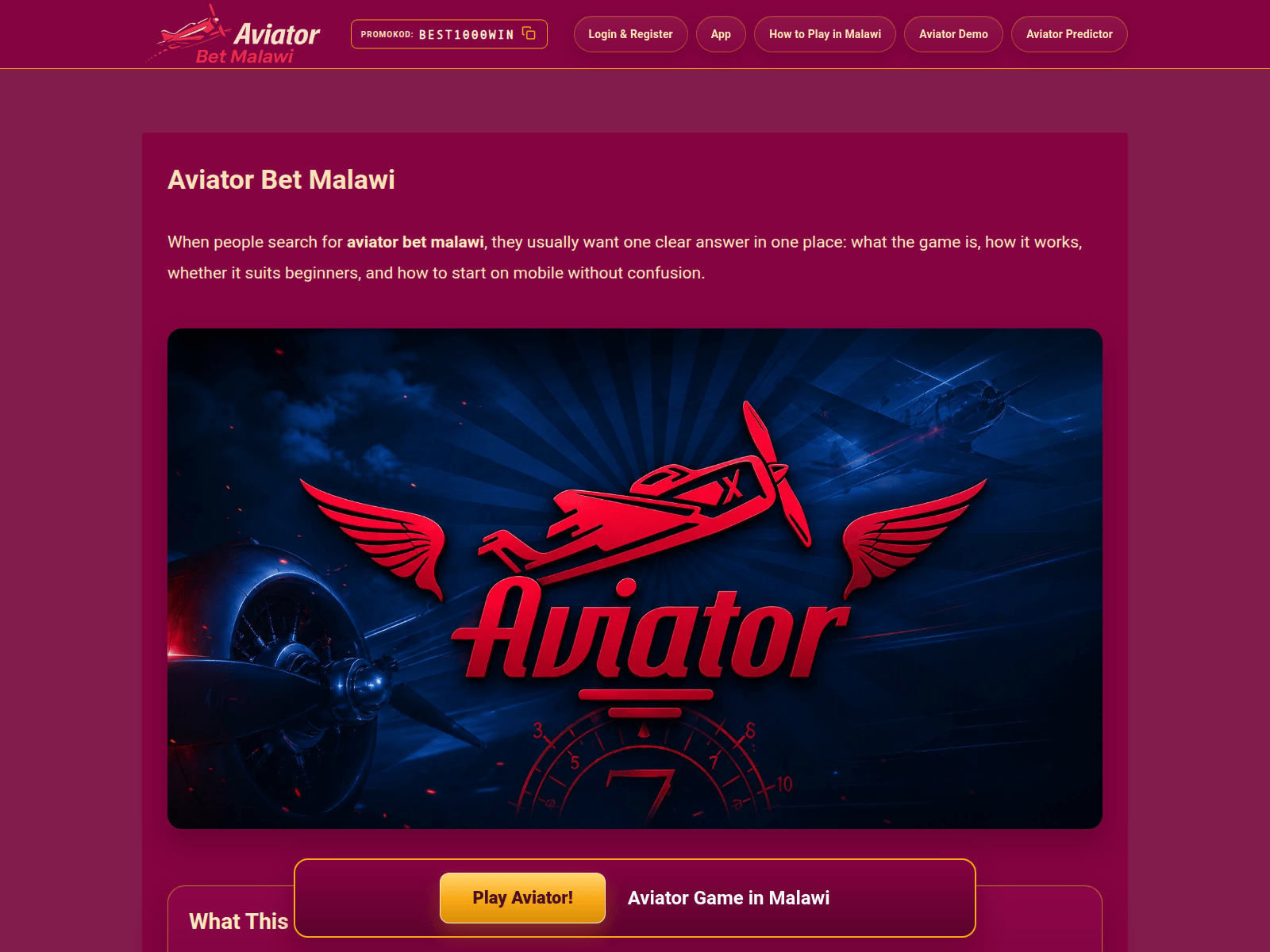 Screenshot von malawiaviator.com