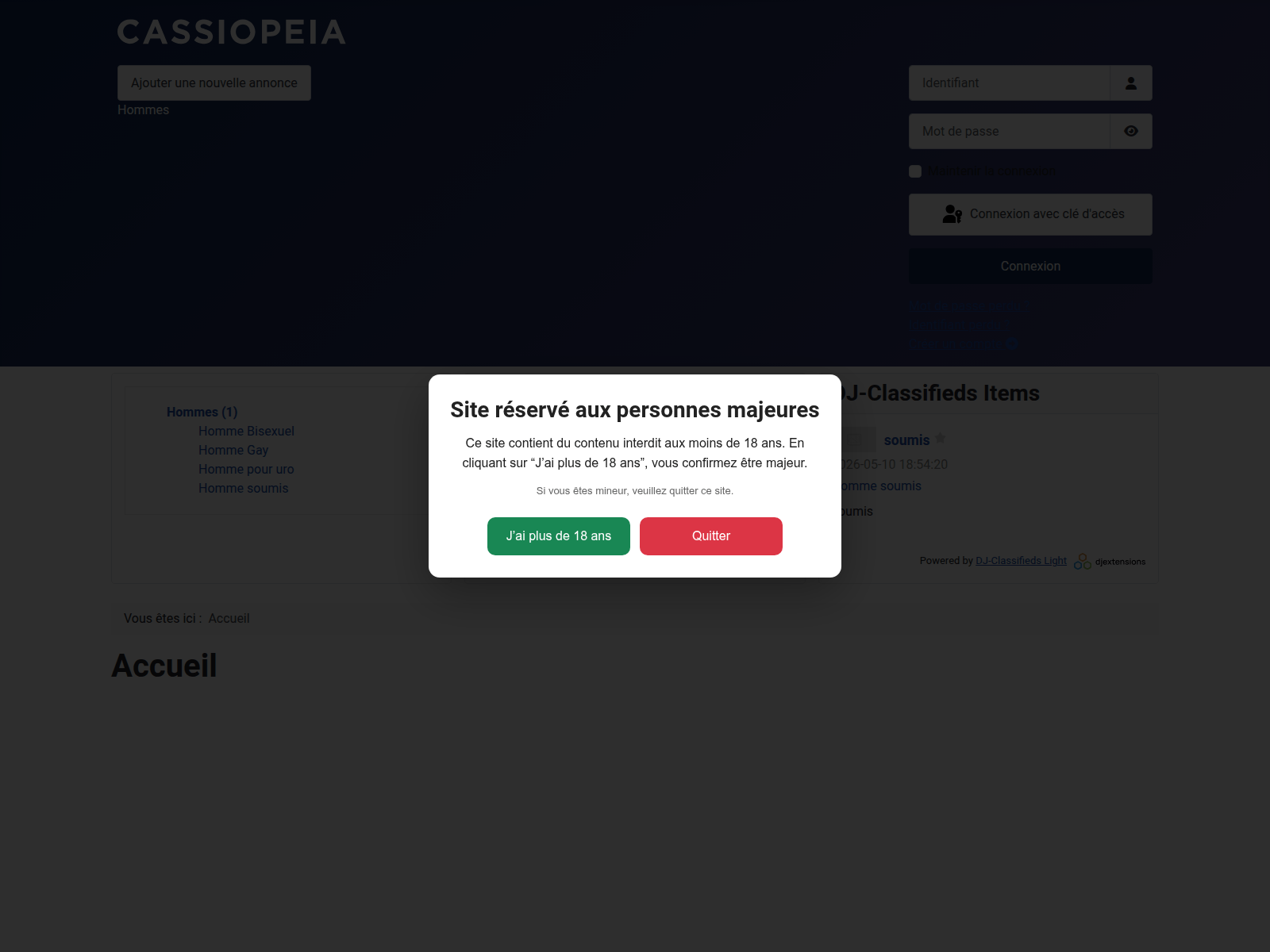 Screenshot of petitesannonces-x.com