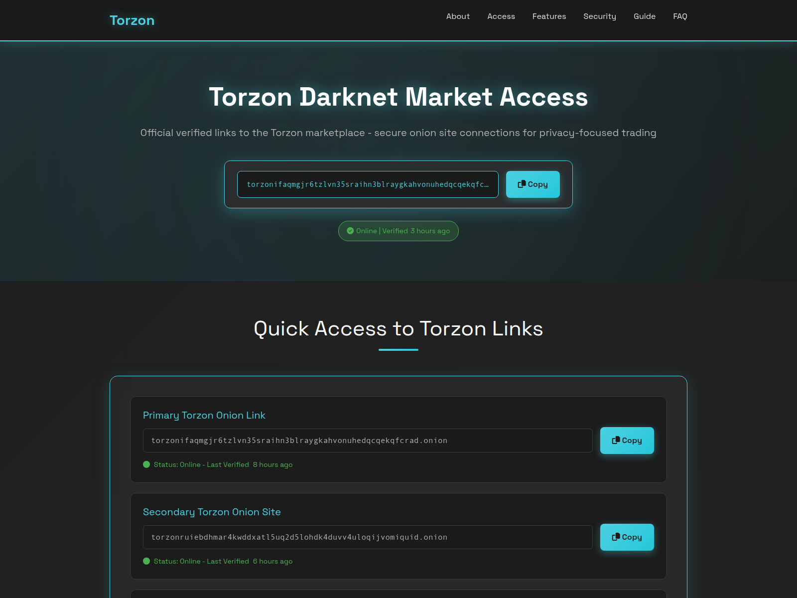Captura de pantalla de x.torzon-onion-market.com