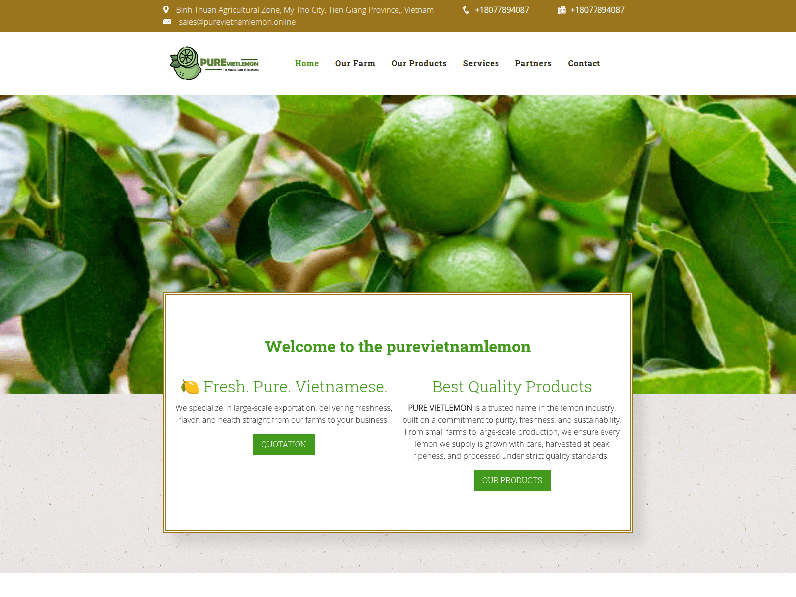 Forensic screenshot of purevietnamlemon.online