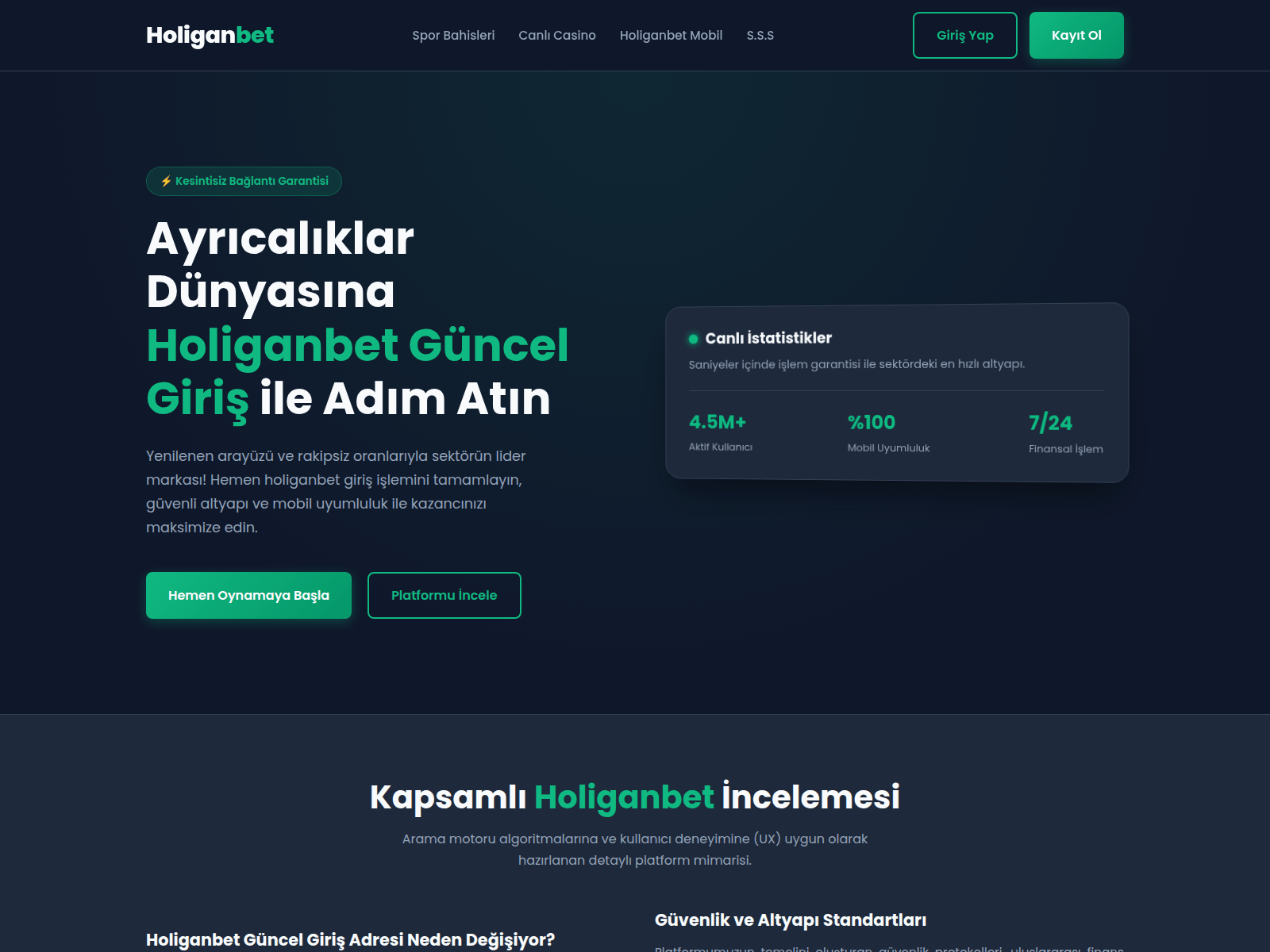 Screenshot of holiganbetcasino.icu