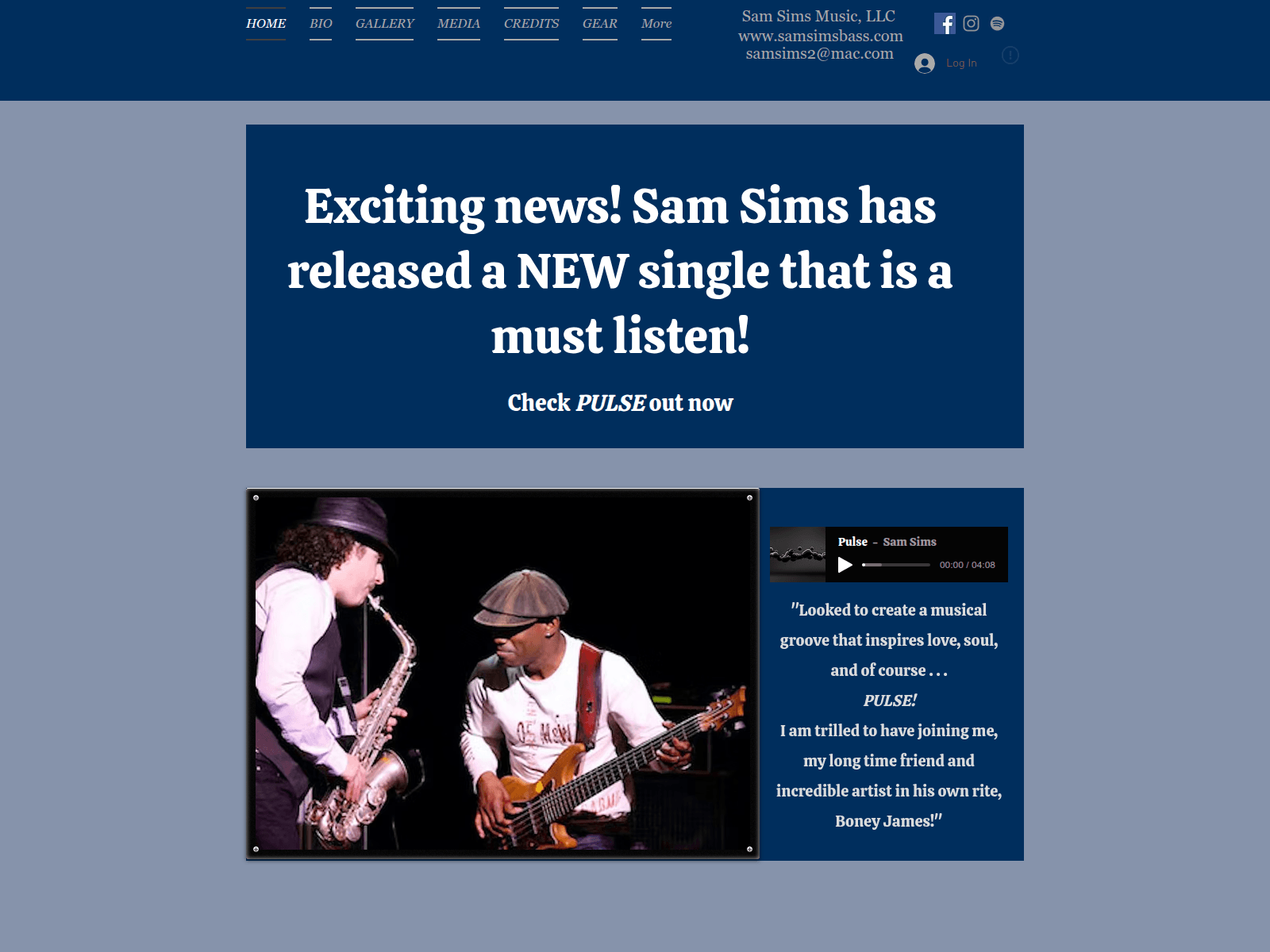 Screenshot von samsimsbass.com