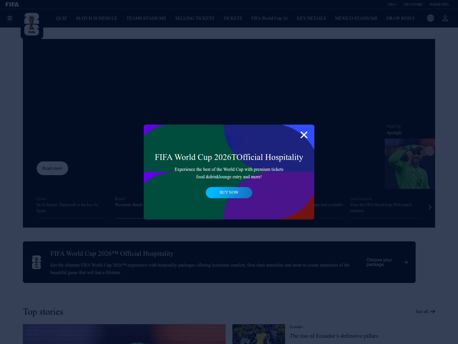 Screenshot of www-fifa.co