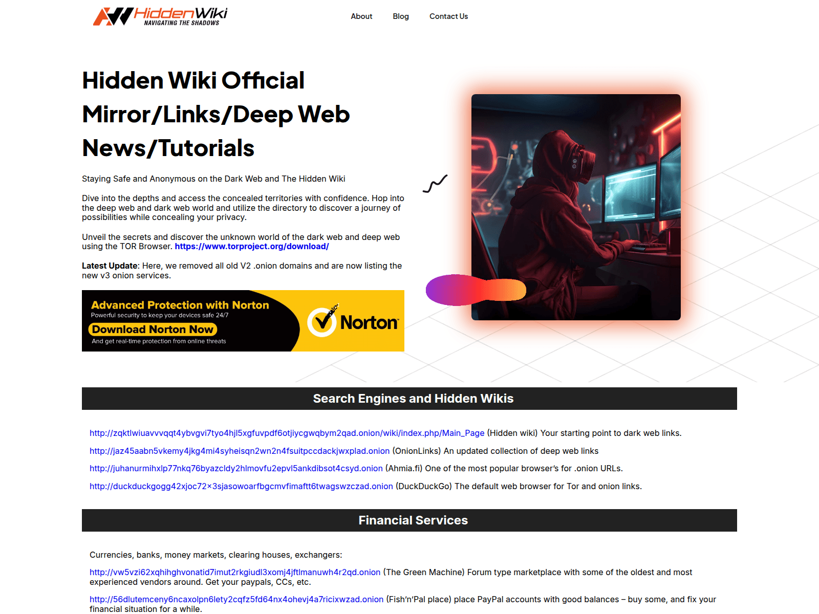 Screenshot von hiddenwikionion.net