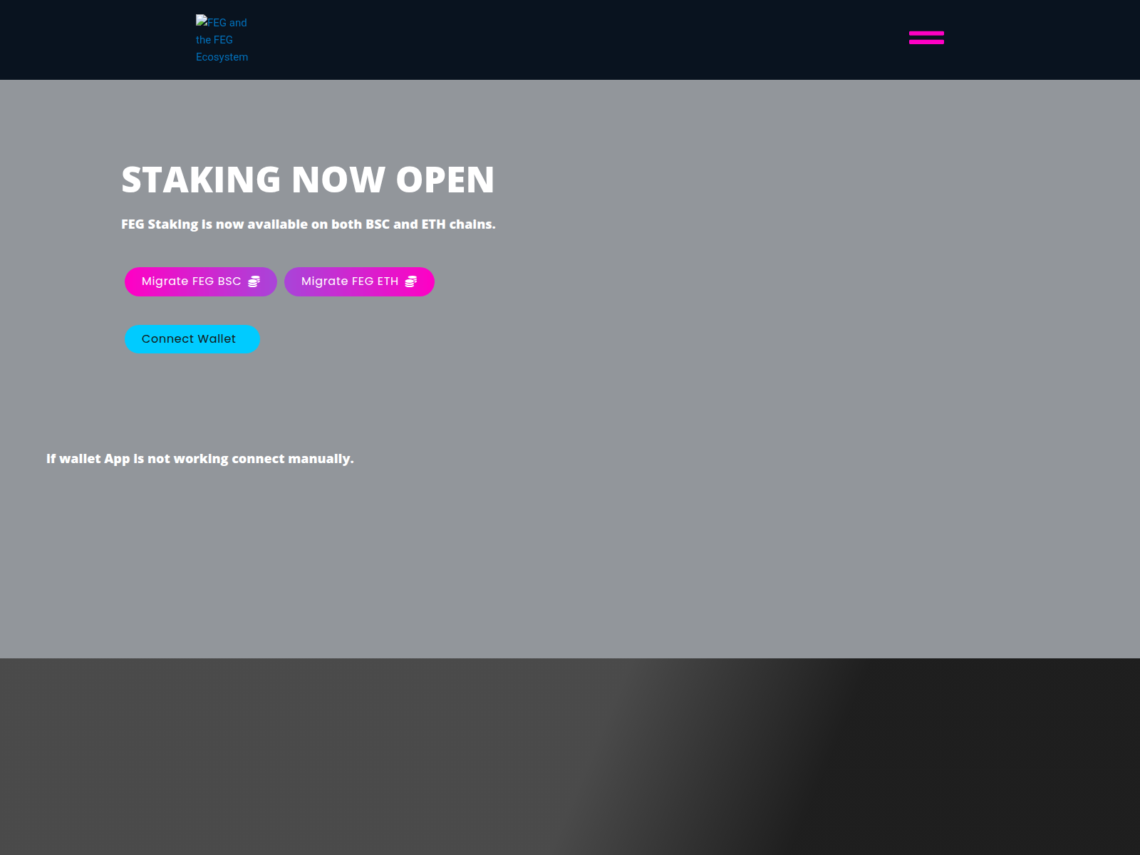 Screenshot of feg-chain.pages.dev