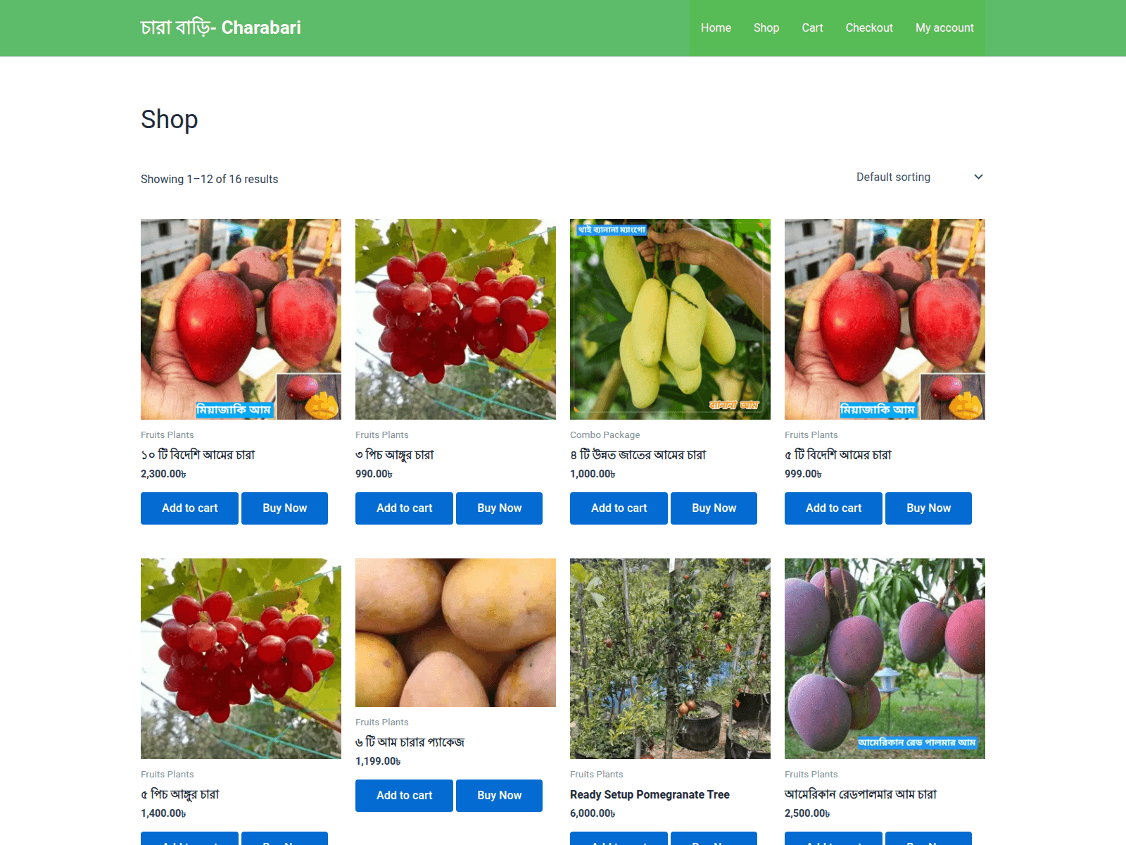 Screenshot of www.charabari.xyz
