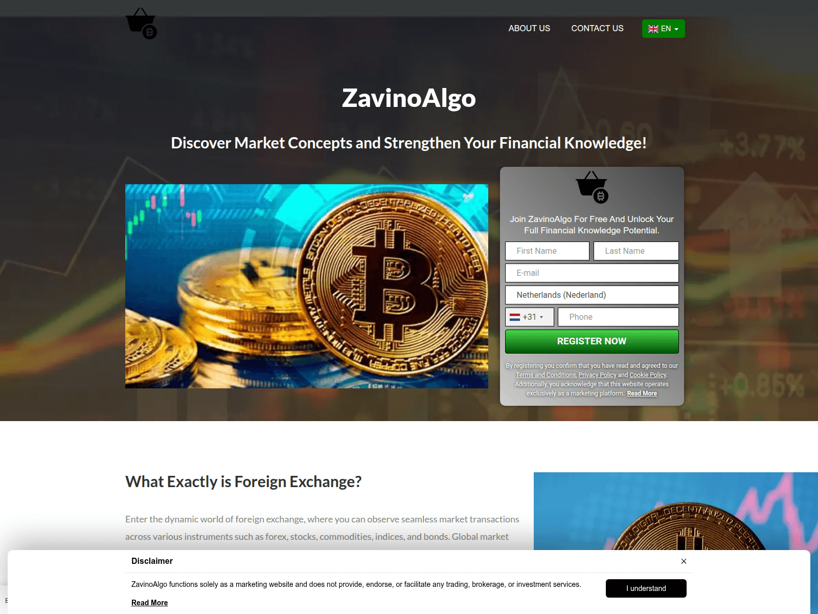 Screenshot of zavinoalgosoftware.com
