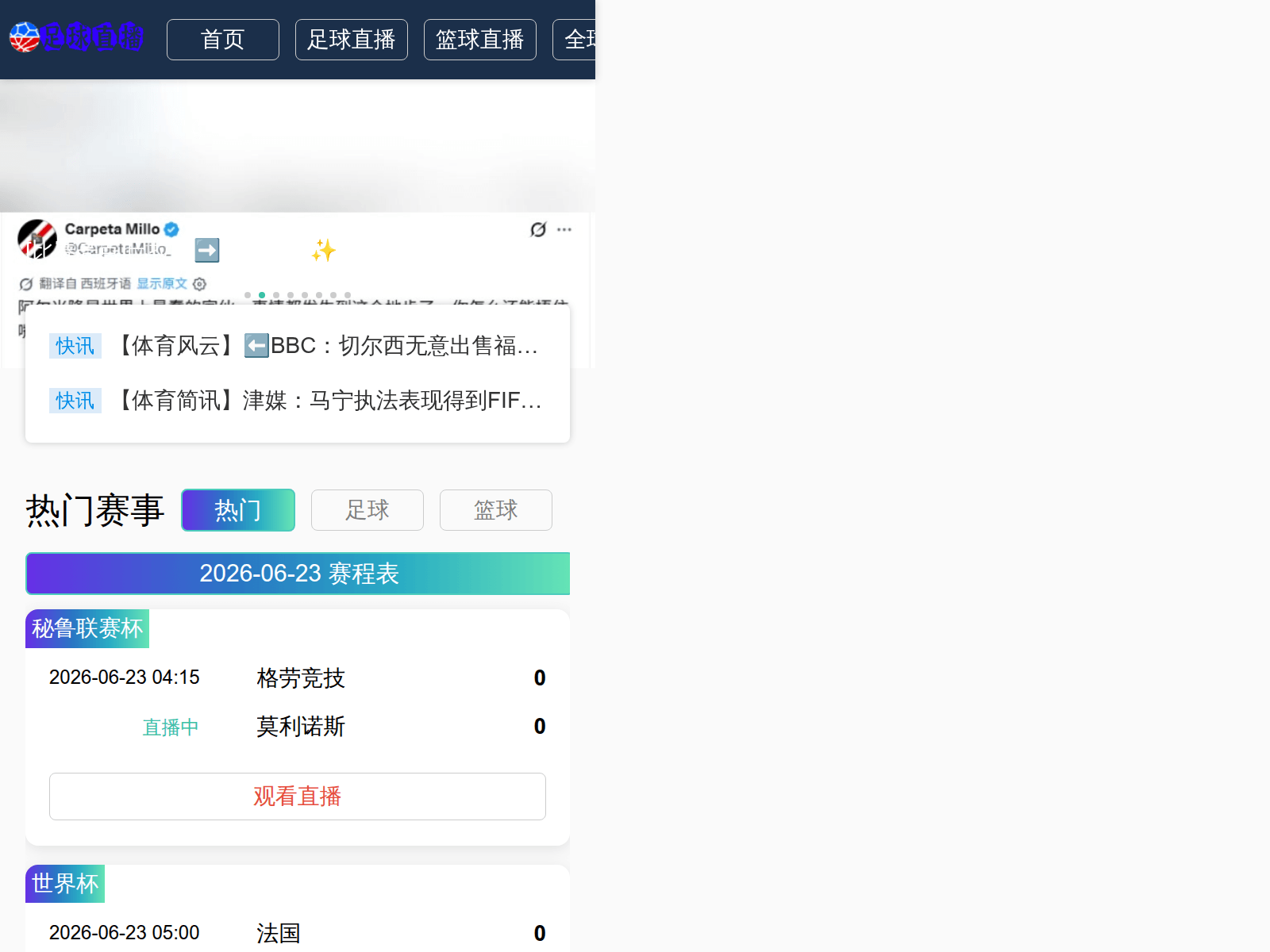 Screenshot of worldcup-entryvideo.com