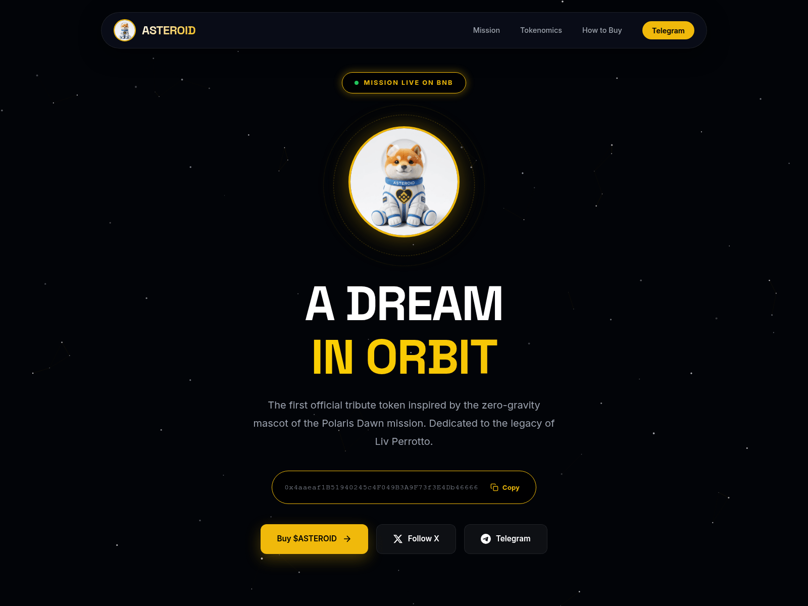 Screenshot of asteroidshiba-bnb.com