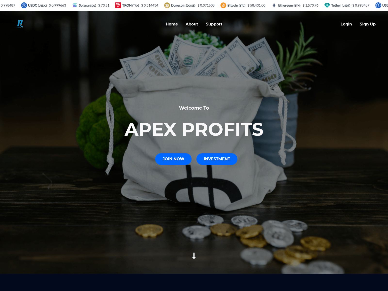 Screenshot of apexprofits.online