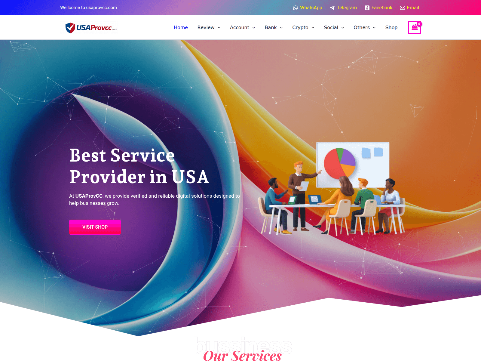 Screenshot of usaprovcc.com