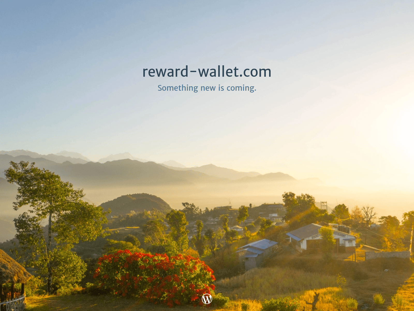 Screenshot of reward-wallet.com