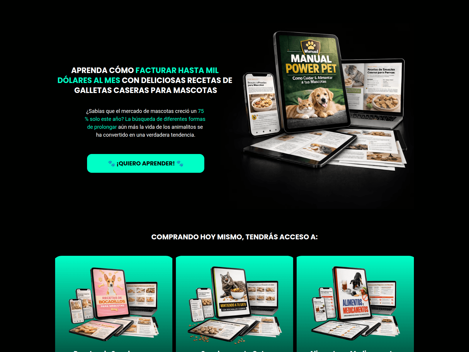 Screenshot of receitaspet.org