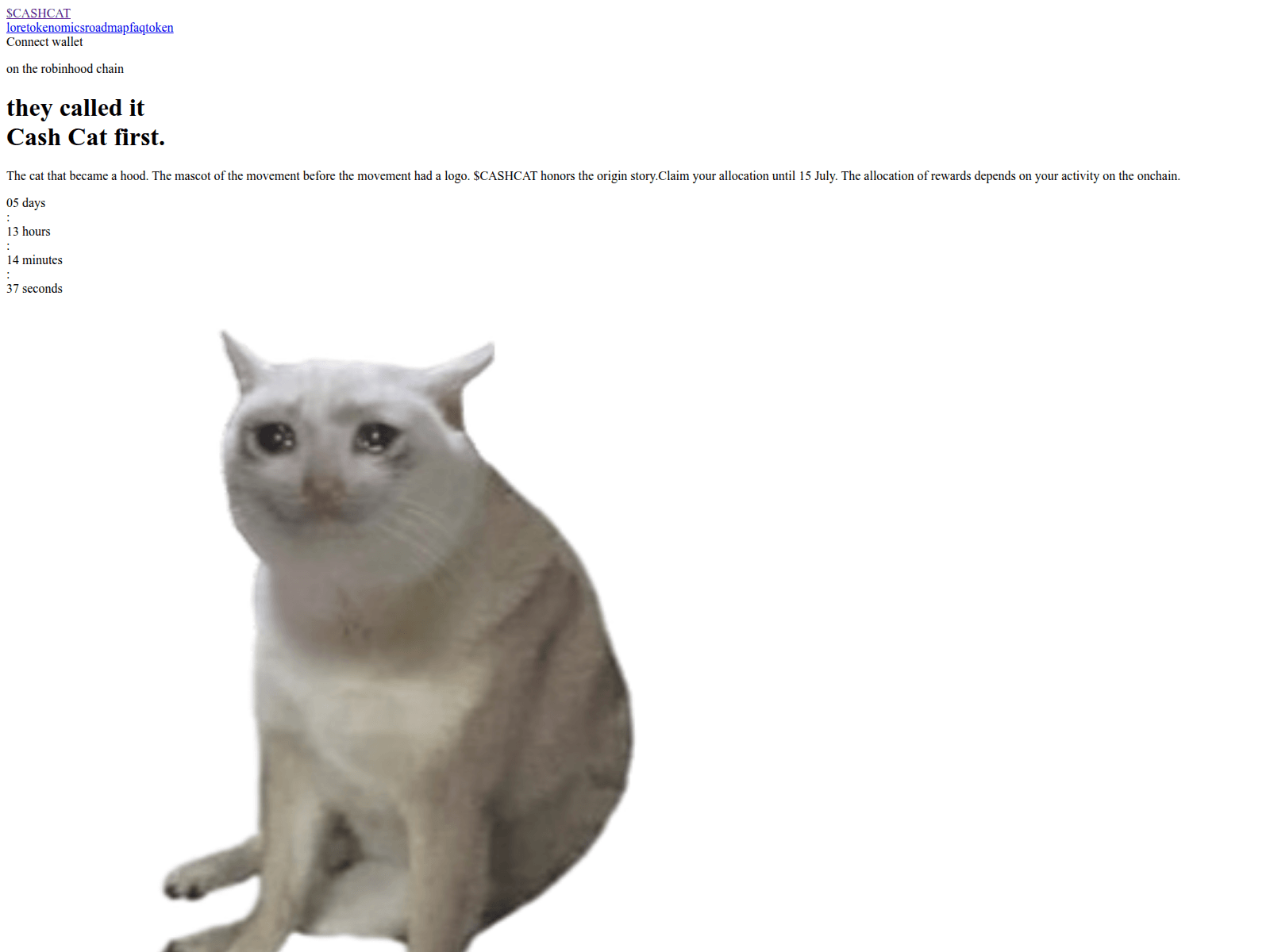 Screenshot of allocationcashcat.com