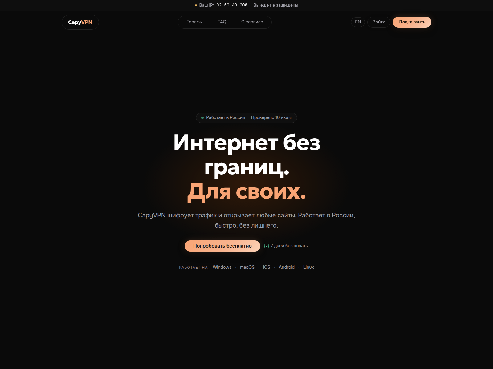 Screenshot of capyhub.org