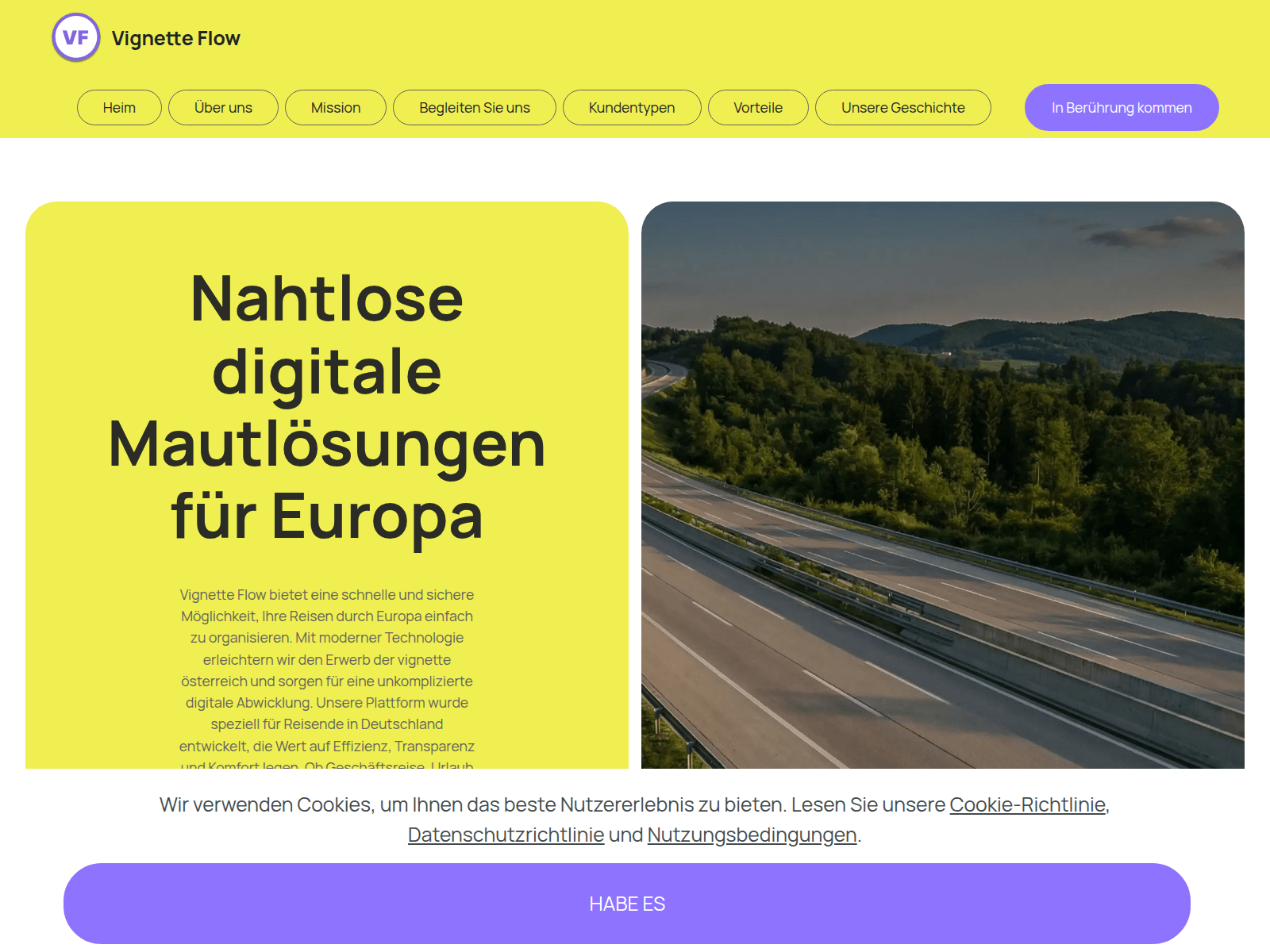 Screenshot of evignetteflow.com
