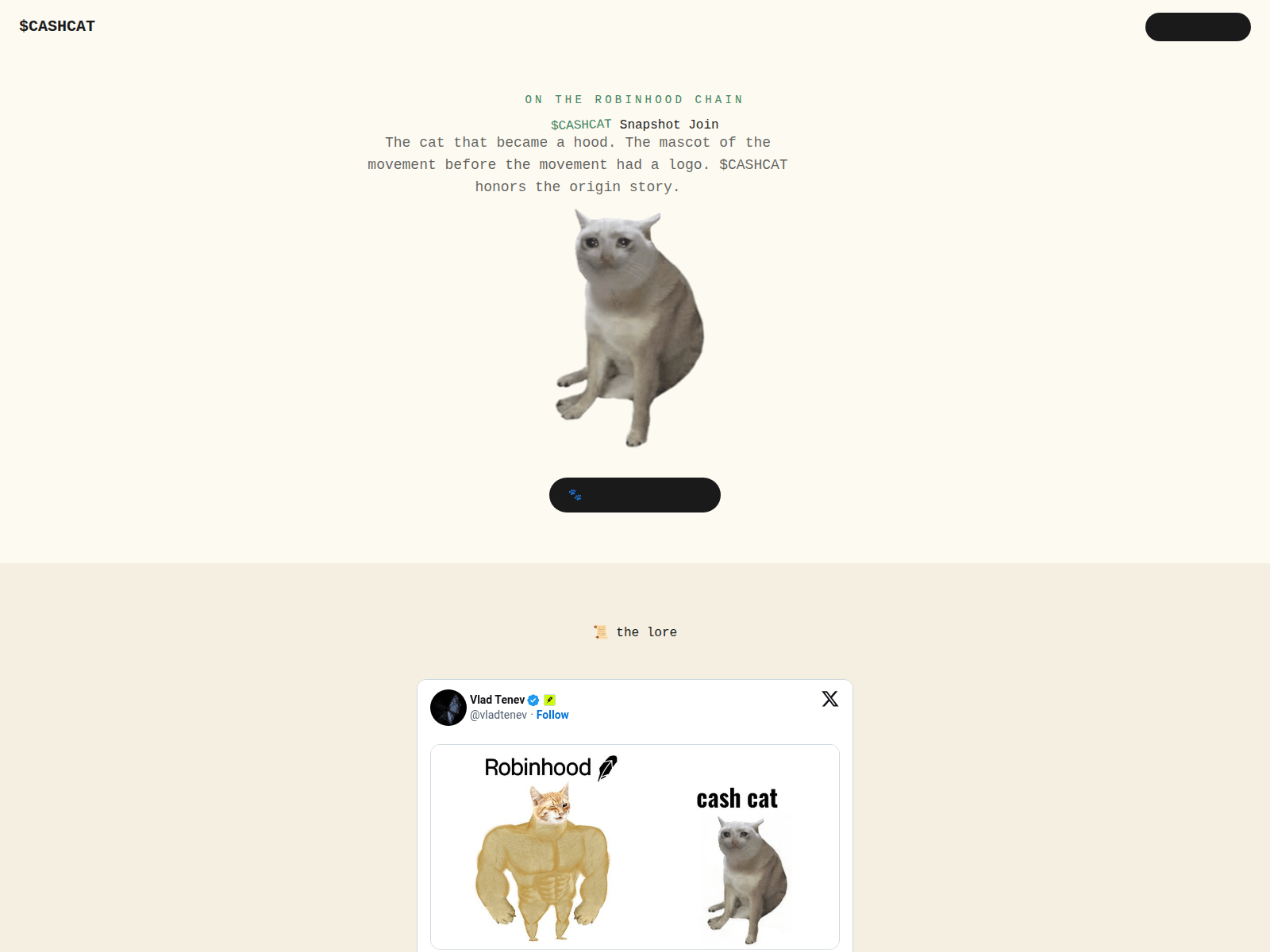 Screenshot of cashcatxyz.com