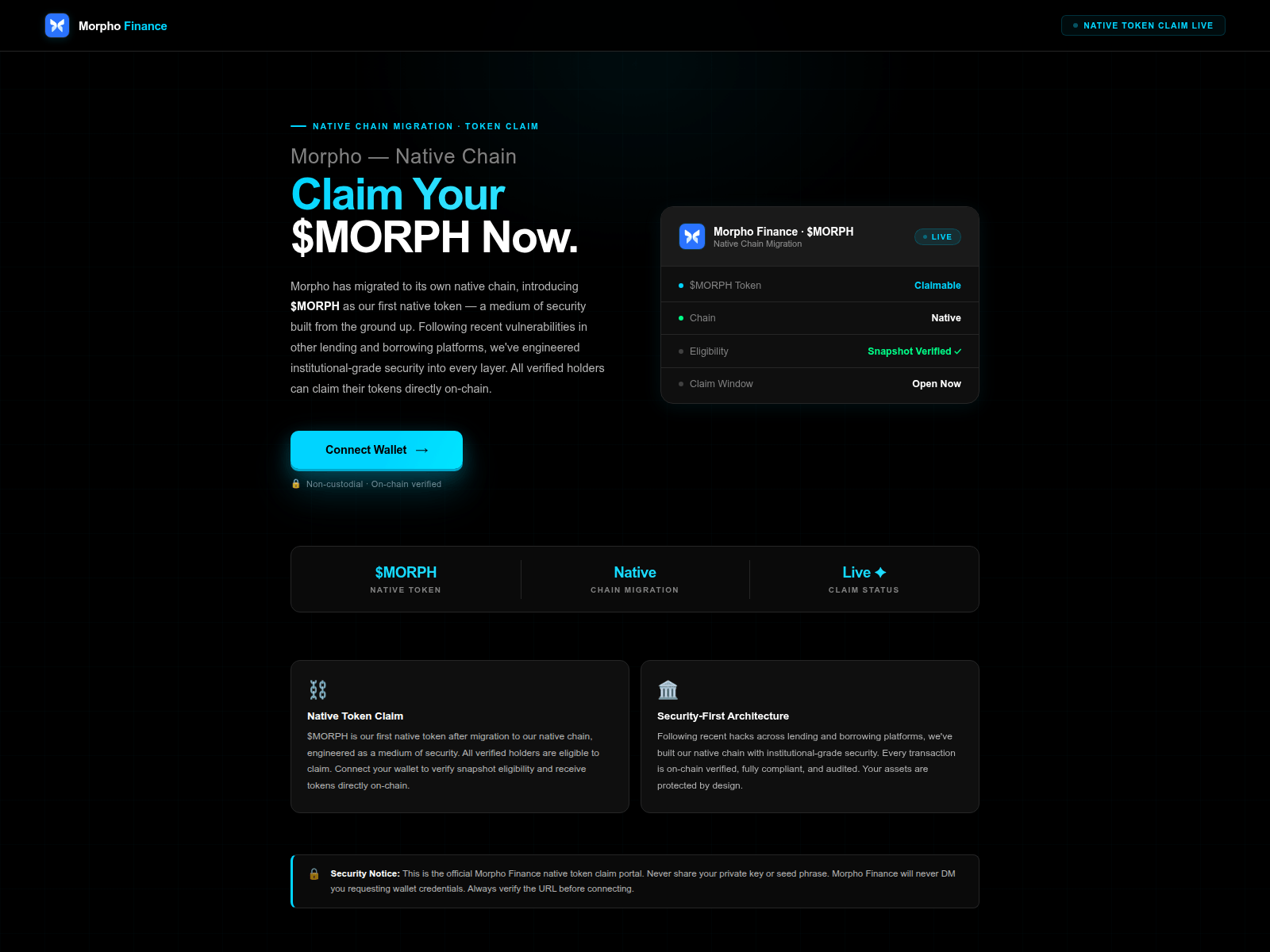 Screenshot of morphochain.live
