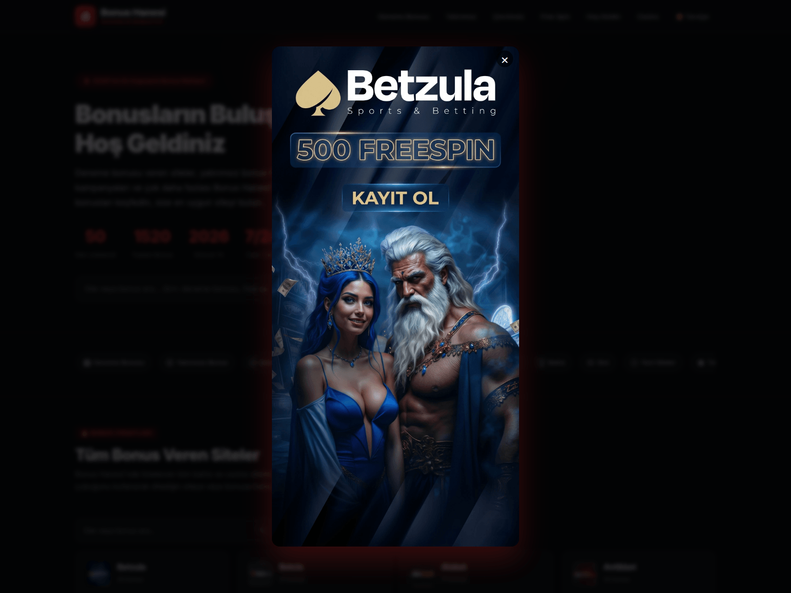 Screenshot of bonushanesi.com