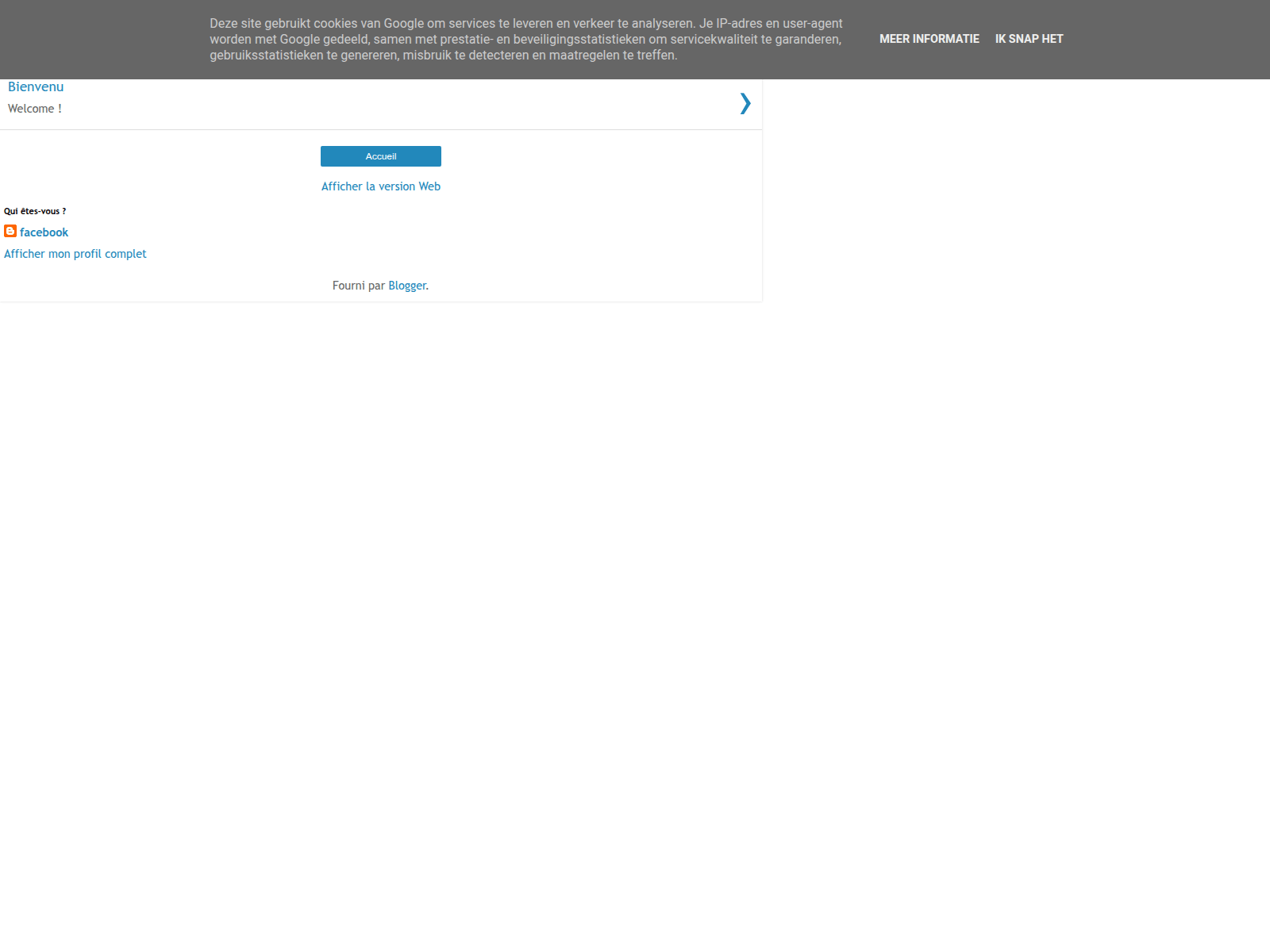 Screenshot of facebook-system.blogspot.com
