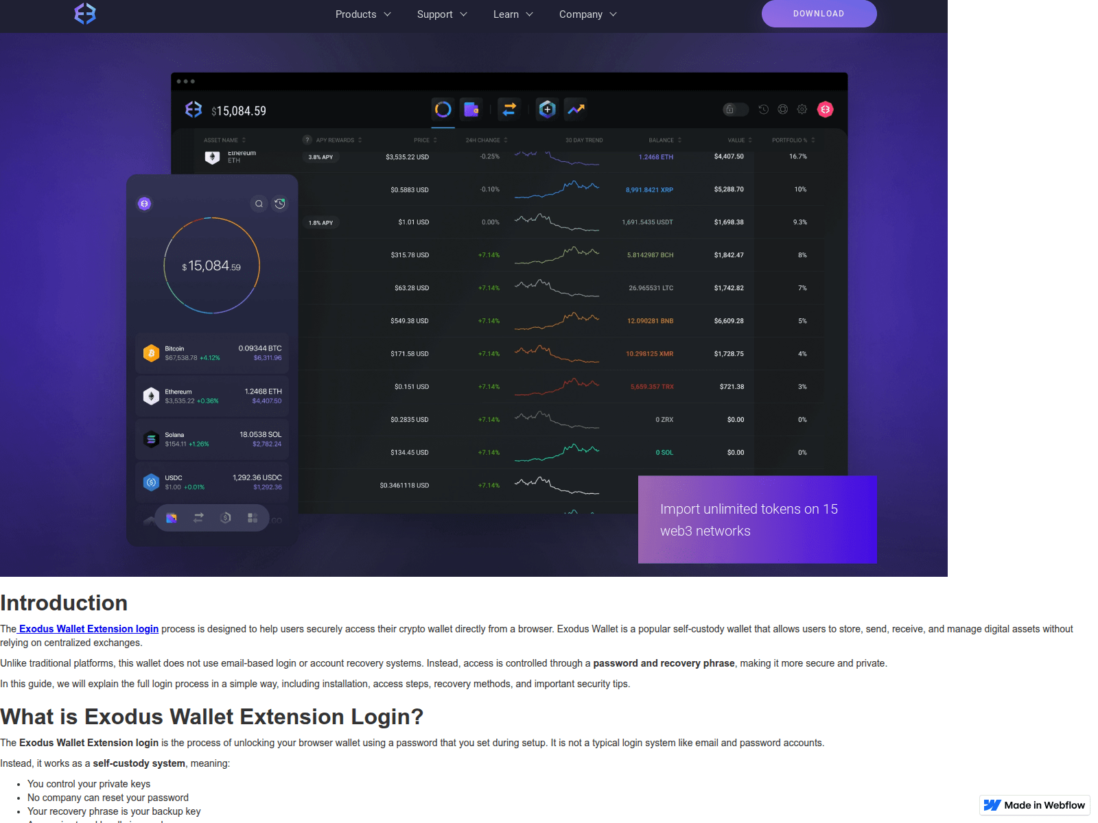 Screenshot of web-exso-dus-com.webflow.io