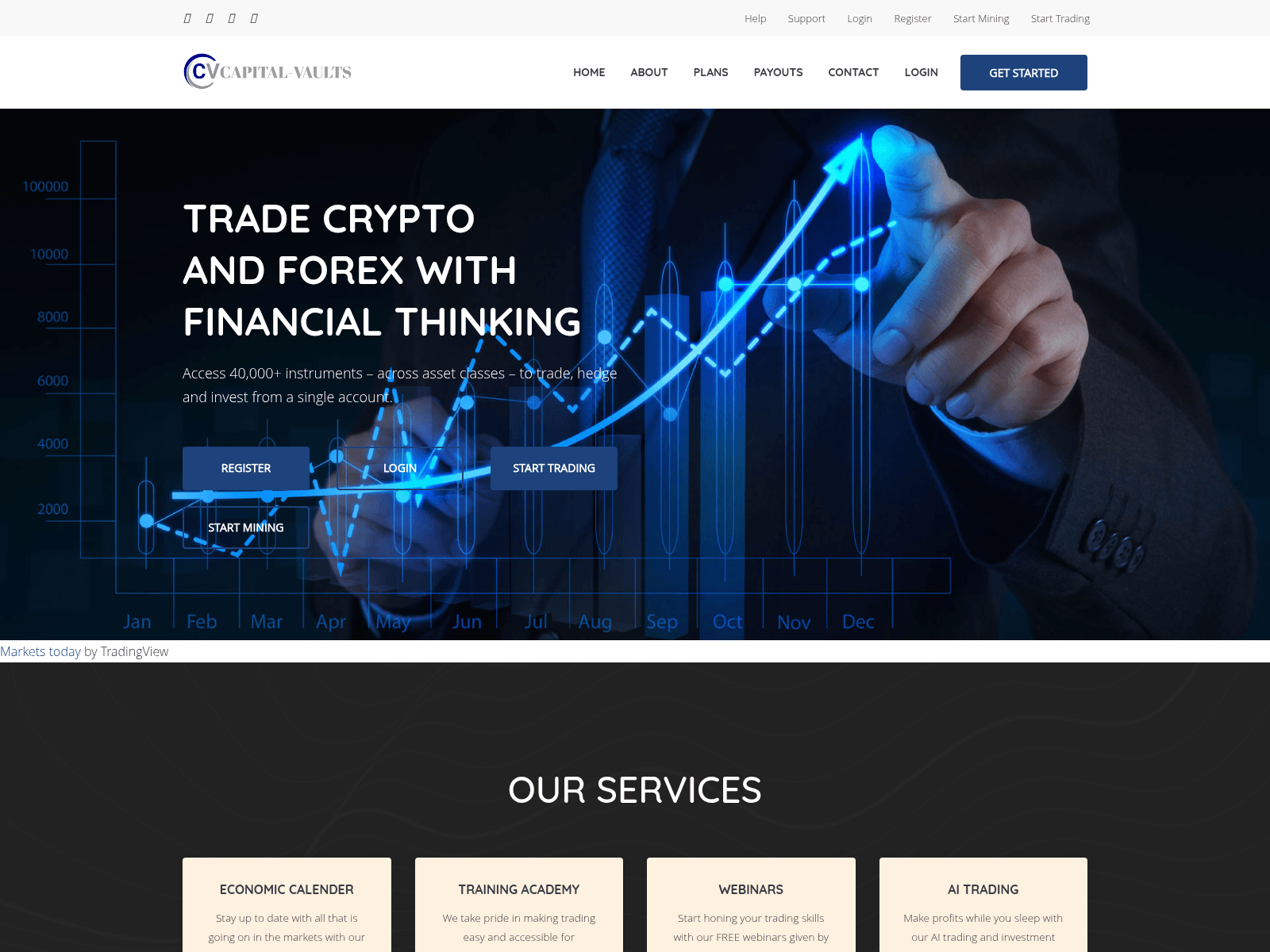 Screenshot of capital-vaults.top