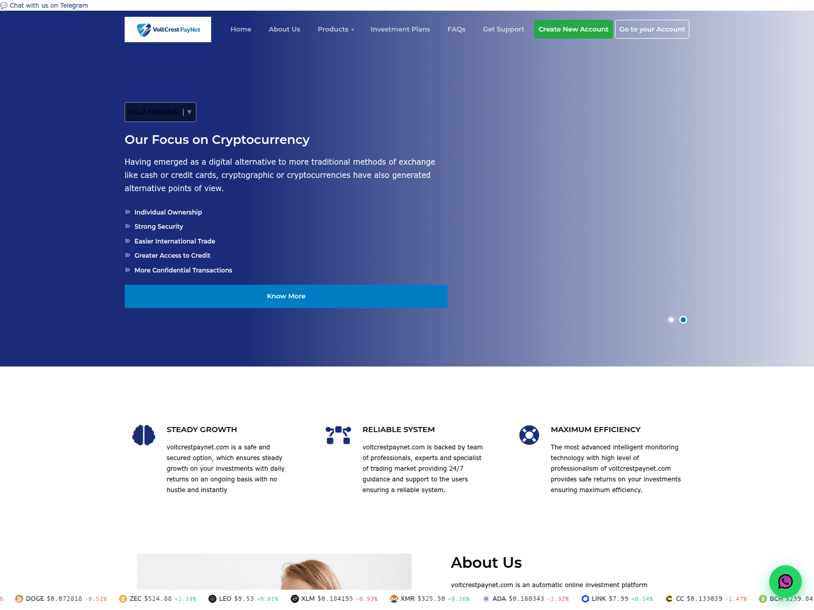 Captura de pantalla de voltcrestpaynet.com