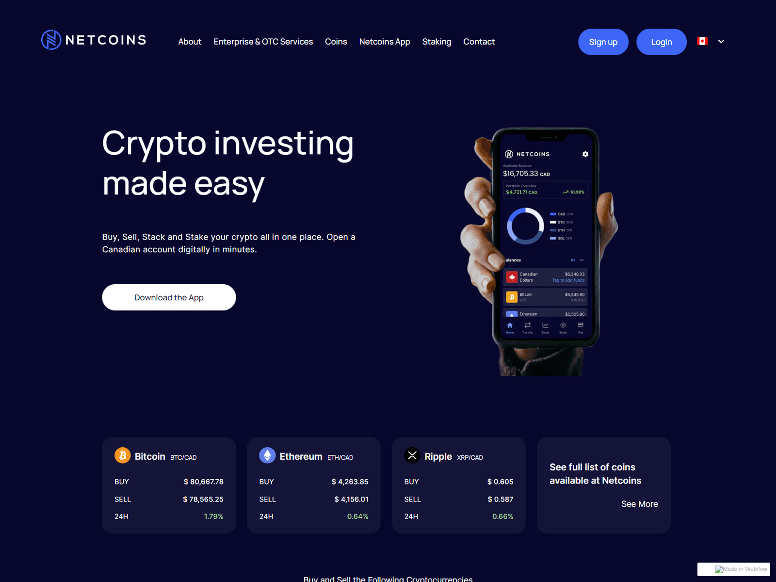 Screenshot of ten-so-netcoins-cdn-x--auth.webflow.io