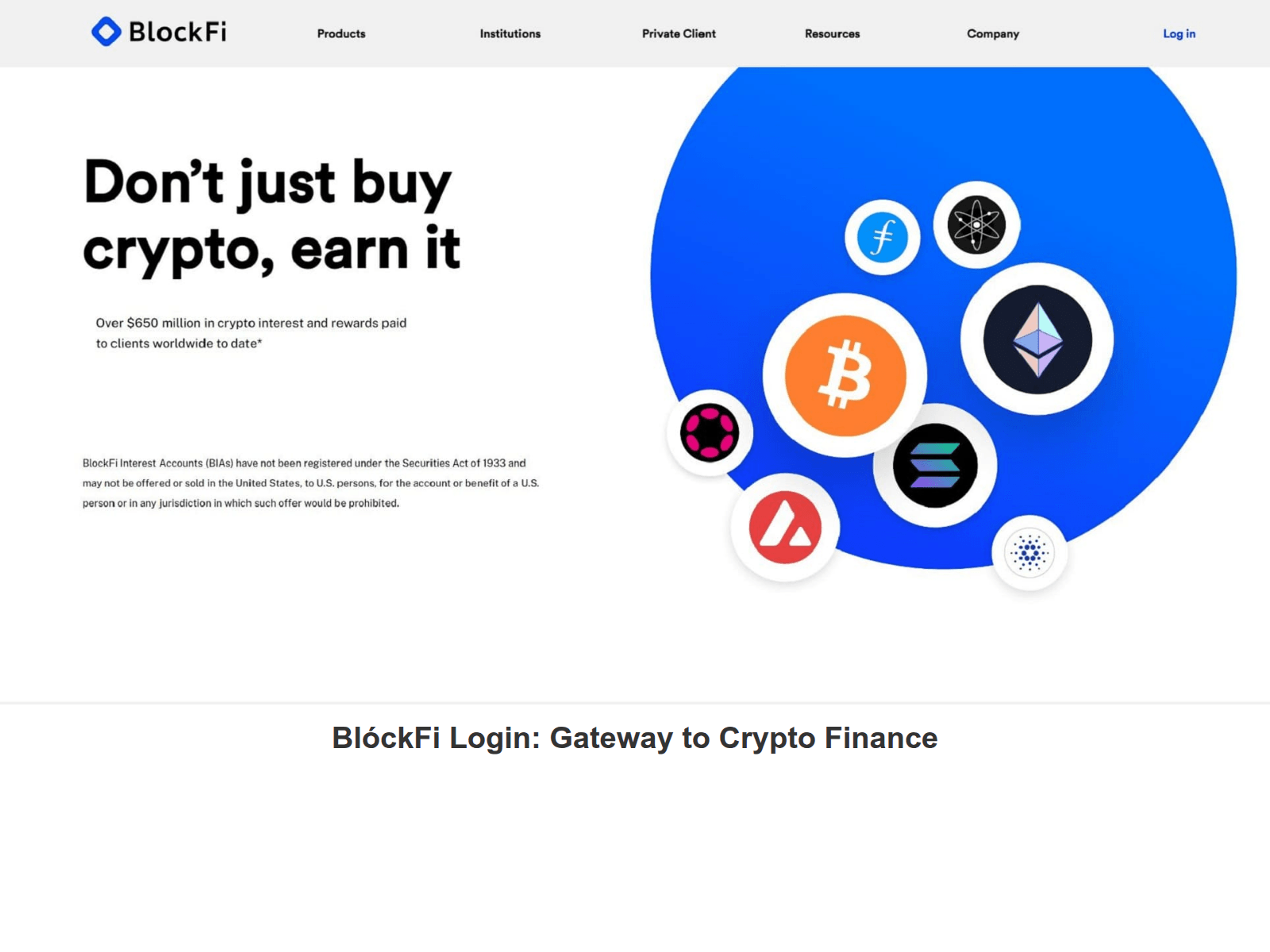 Screenshot of blokfeloggn.webflow.io