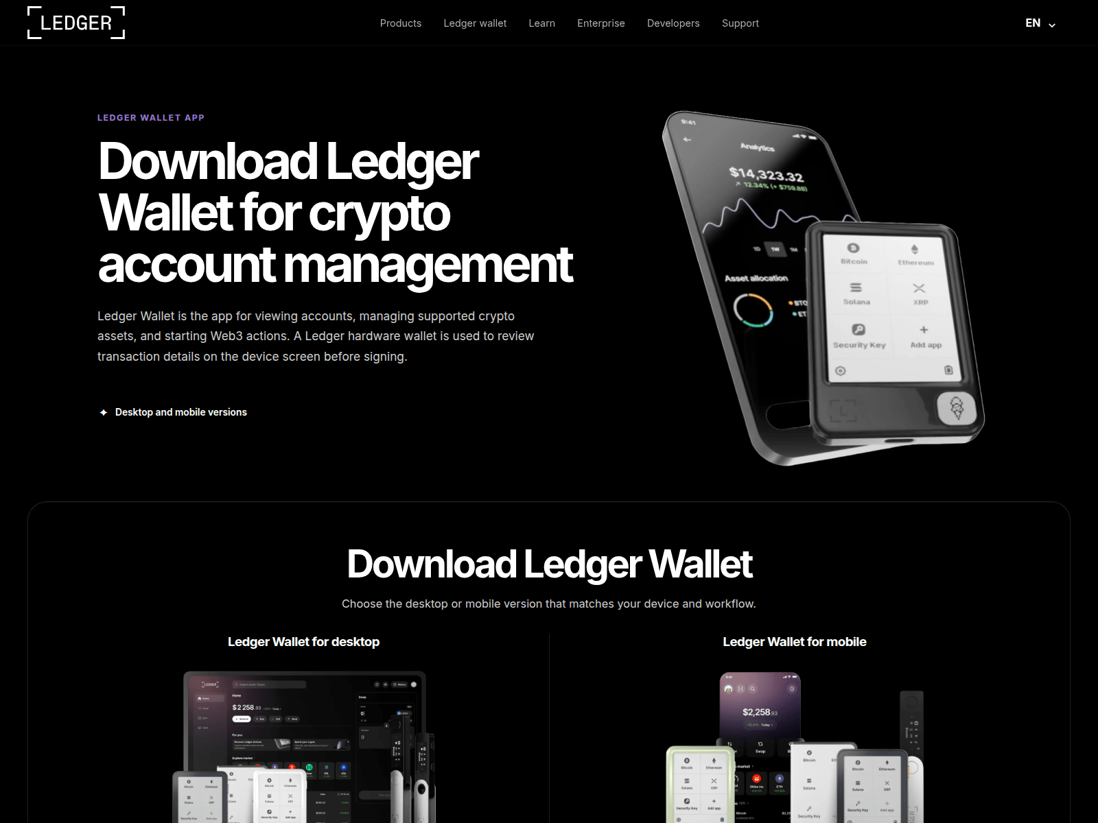 Screenshot of ledgertp.com