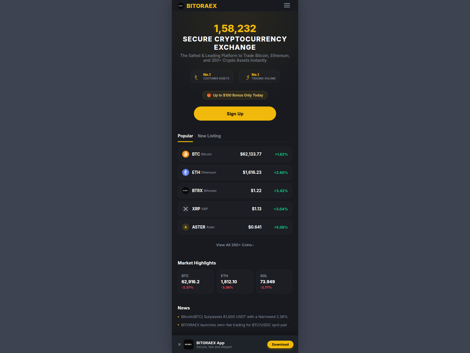 Screenshot of bitoraex.com