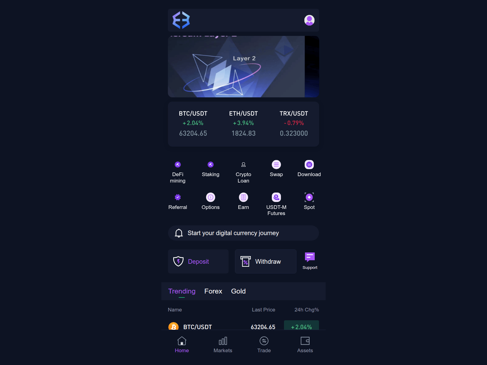 Screenshot of exdous.online