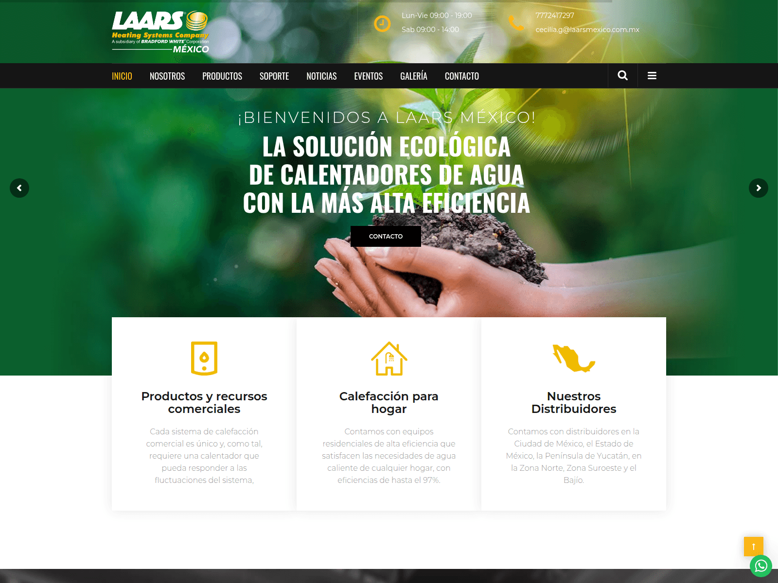Screenshot of laarsmexico.com.mx