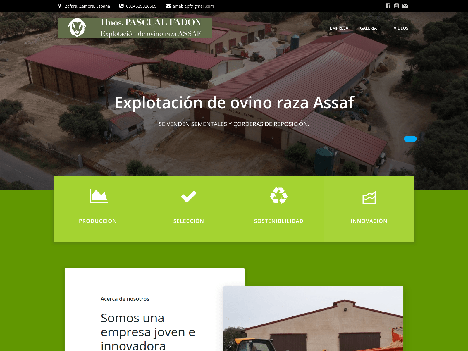 Screenshot of hnospascualfadon.com