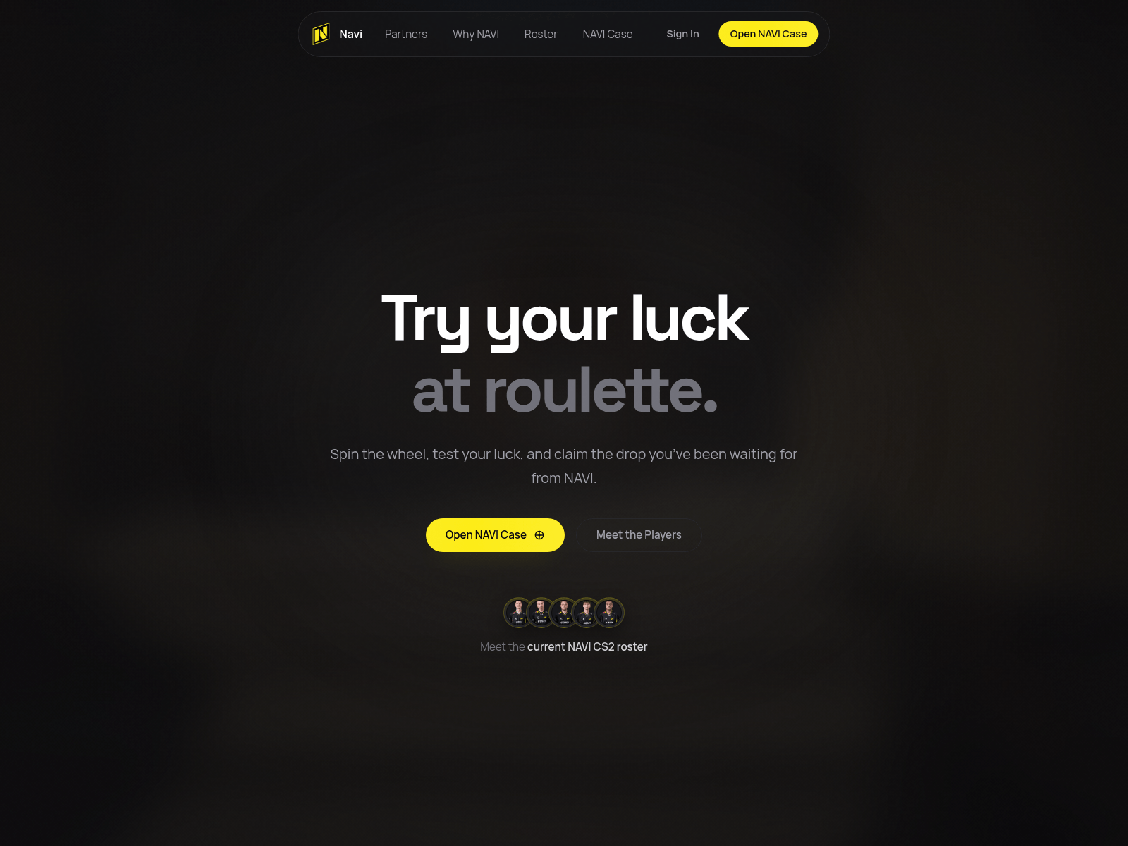 Screenshot of navigg.pro