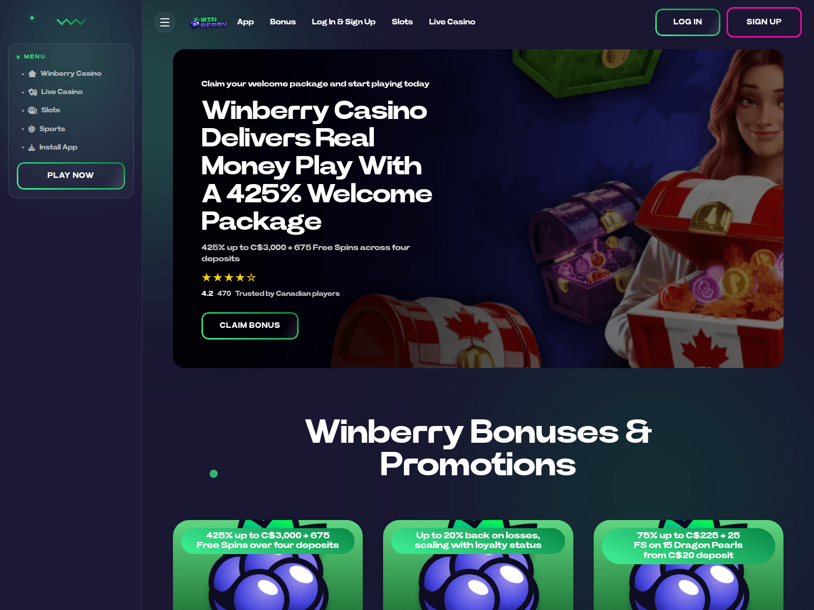Screenshot of winberry-ca.net