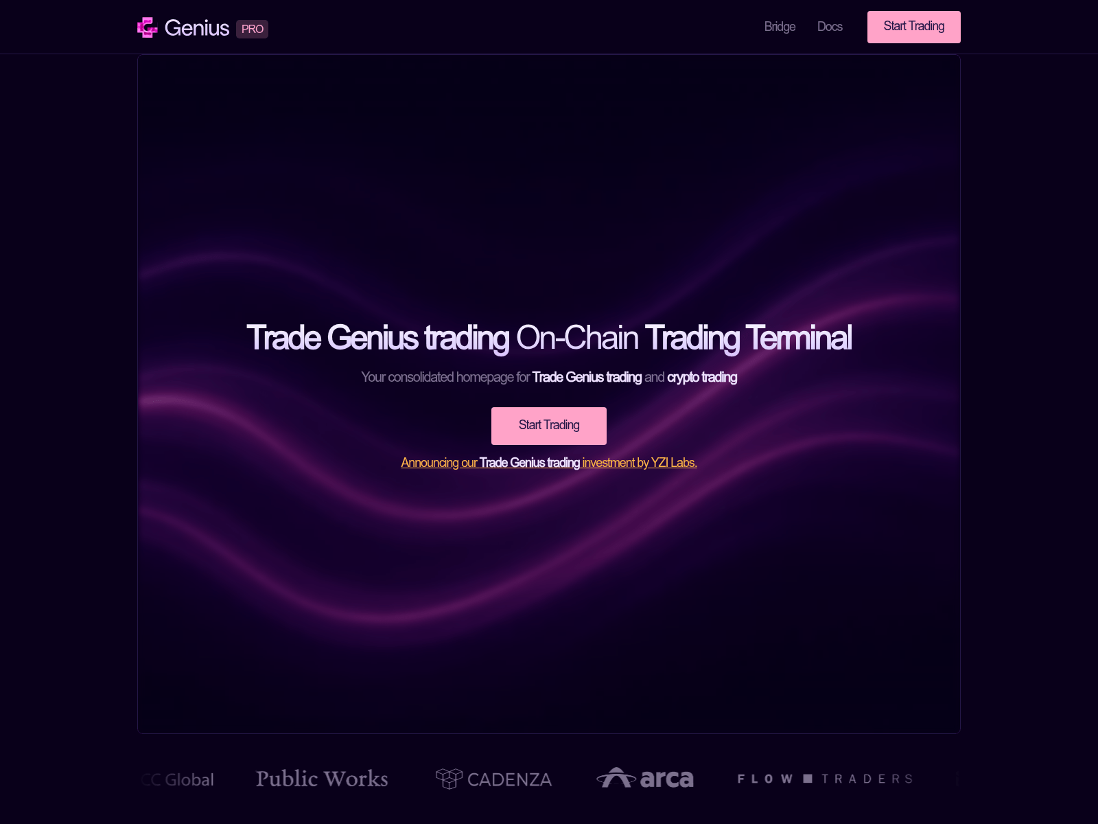 Screenshot of geniusterminal.net
