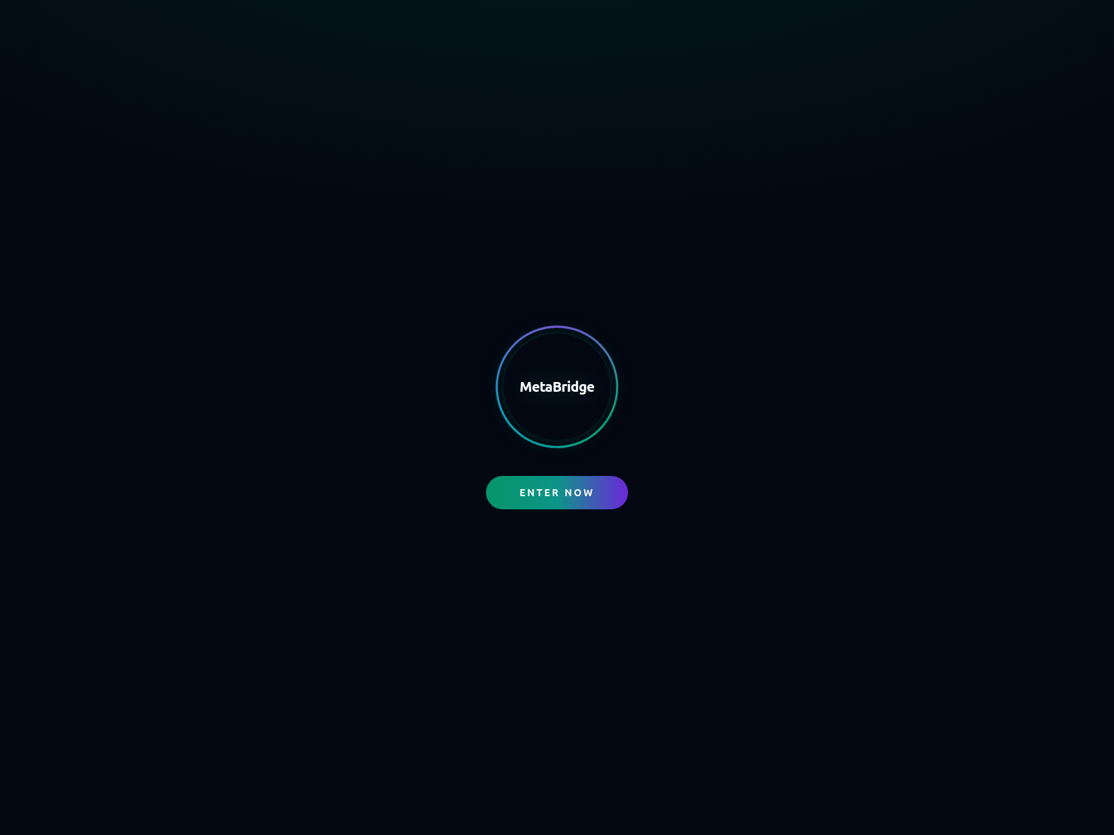 Screenshot of metabridge.vip