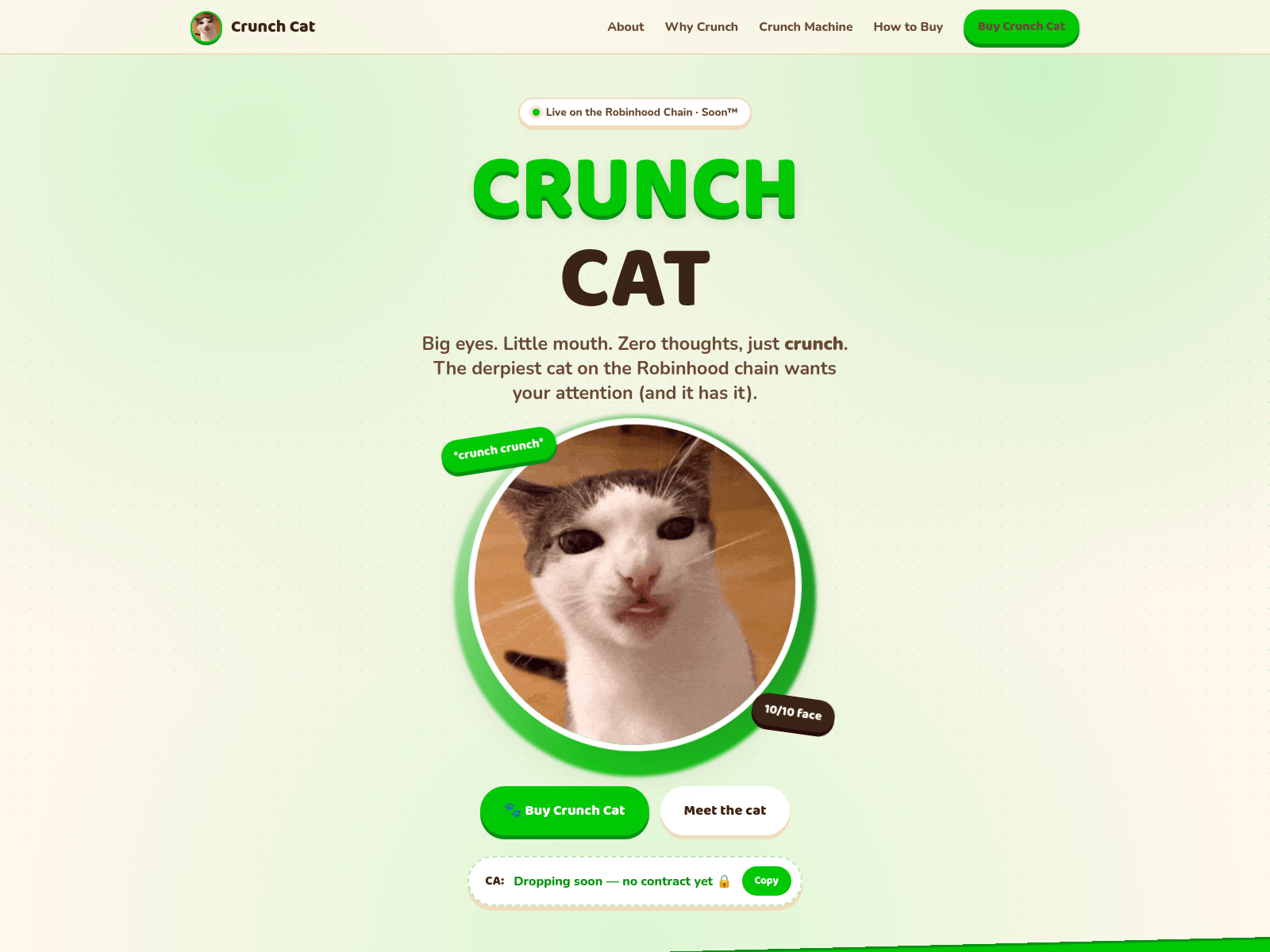 Screenshot of crunchcat.run