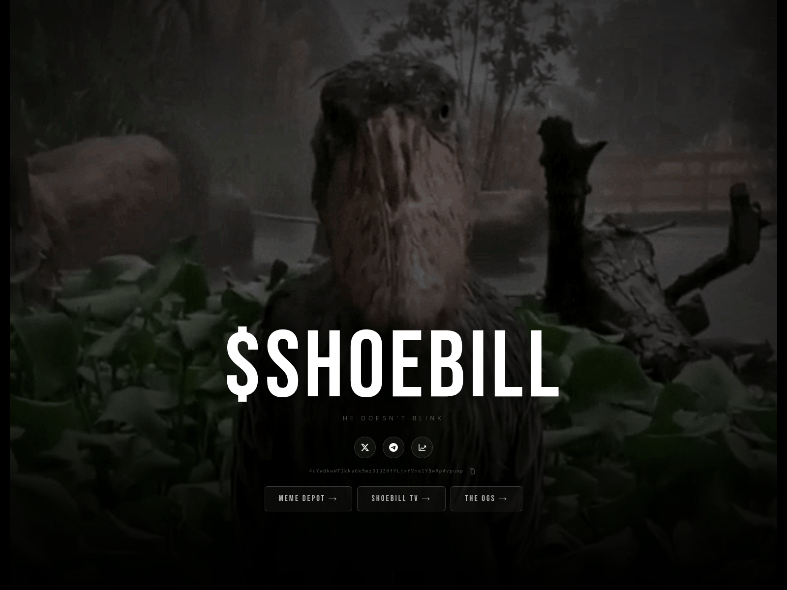 Screenshot of theshoebill.xyz