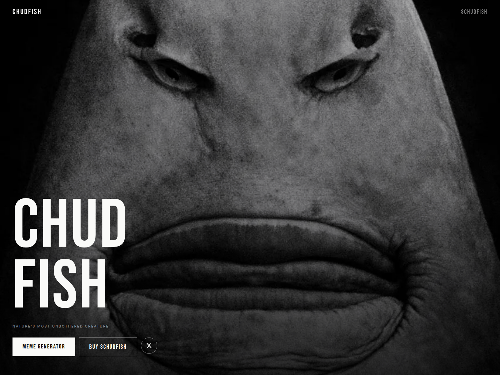 Screenshot of chudfish.fun