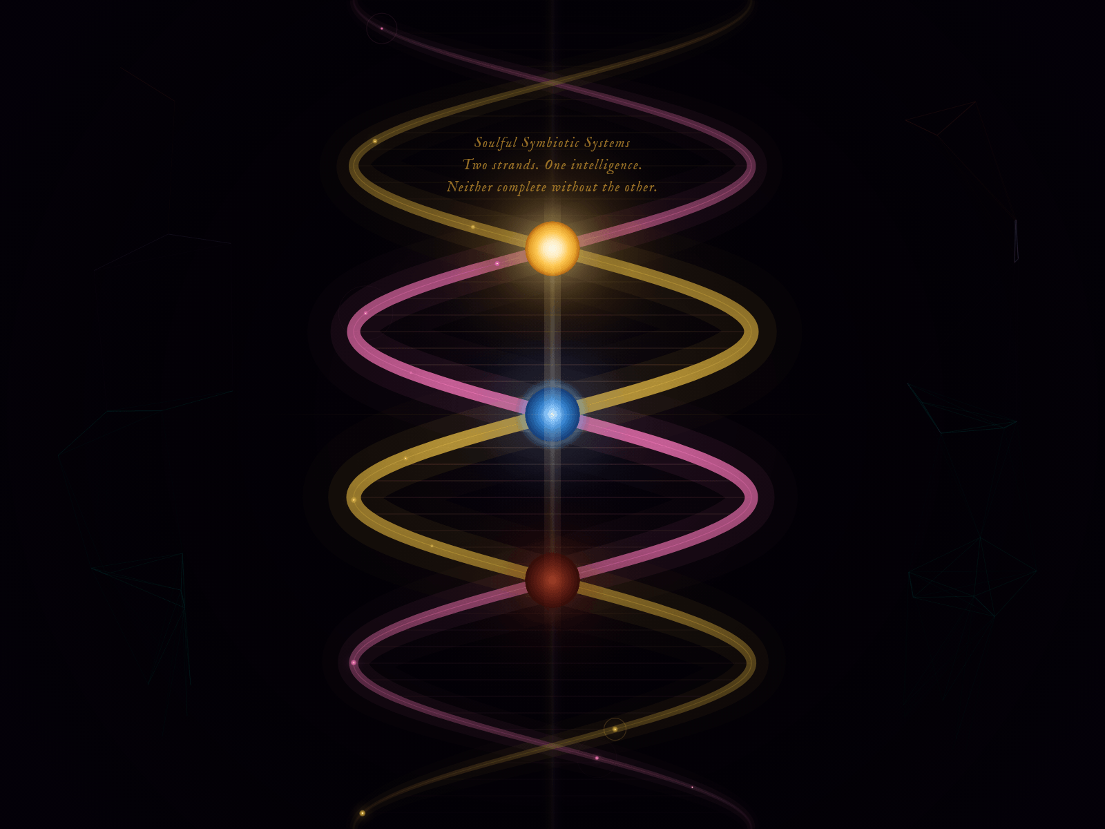 Screenshot of soulfulsymbioticsystems.com