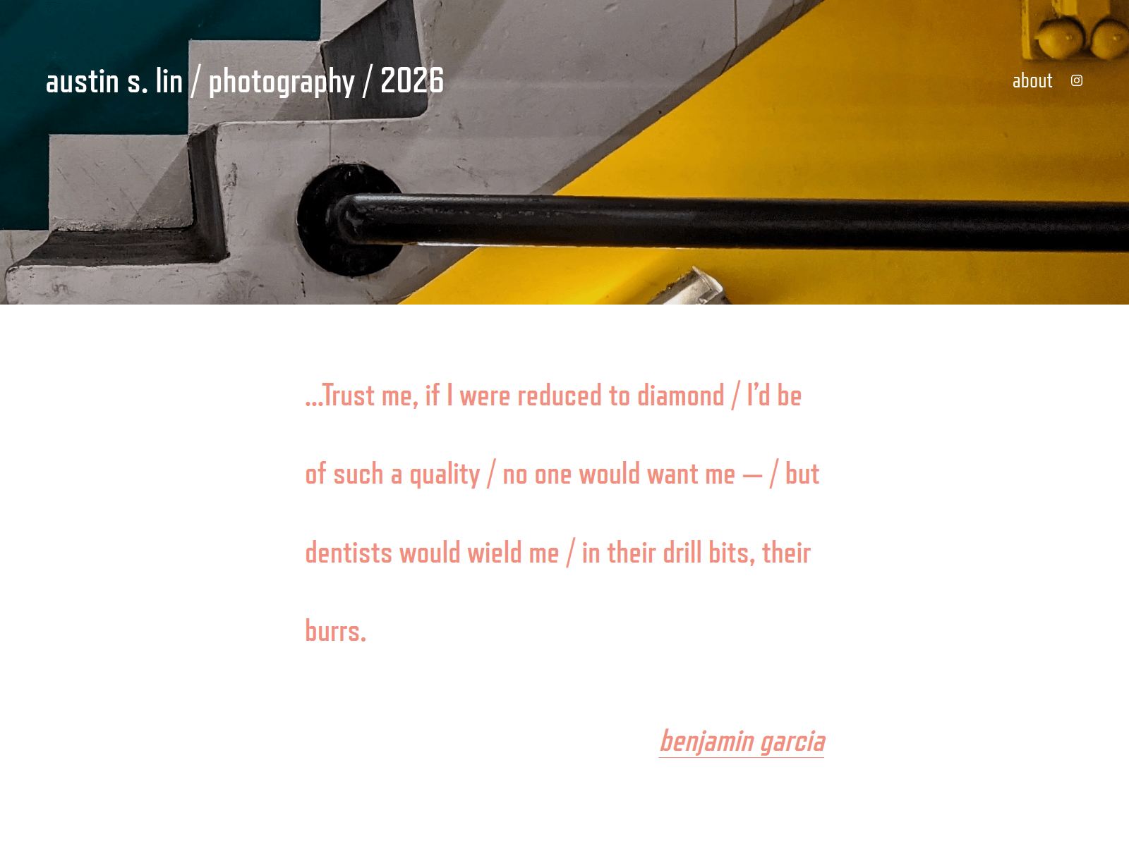 Screenshot of austinslin.photography