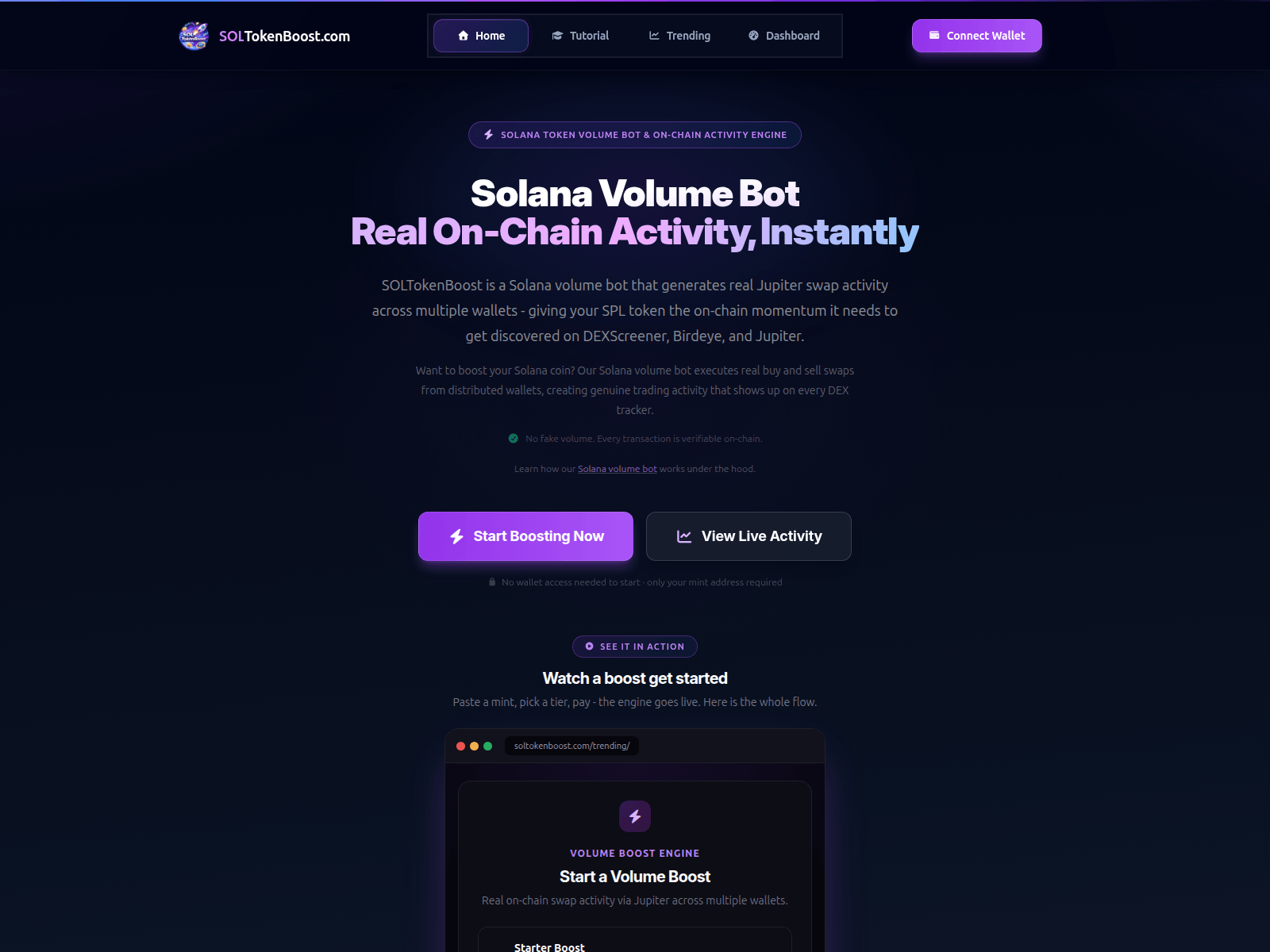 Screenshot of soltokenboost.com